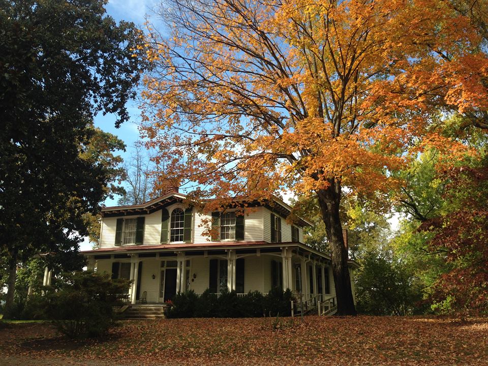 A rainbow of Autumn leaves set off a fall wedding date.