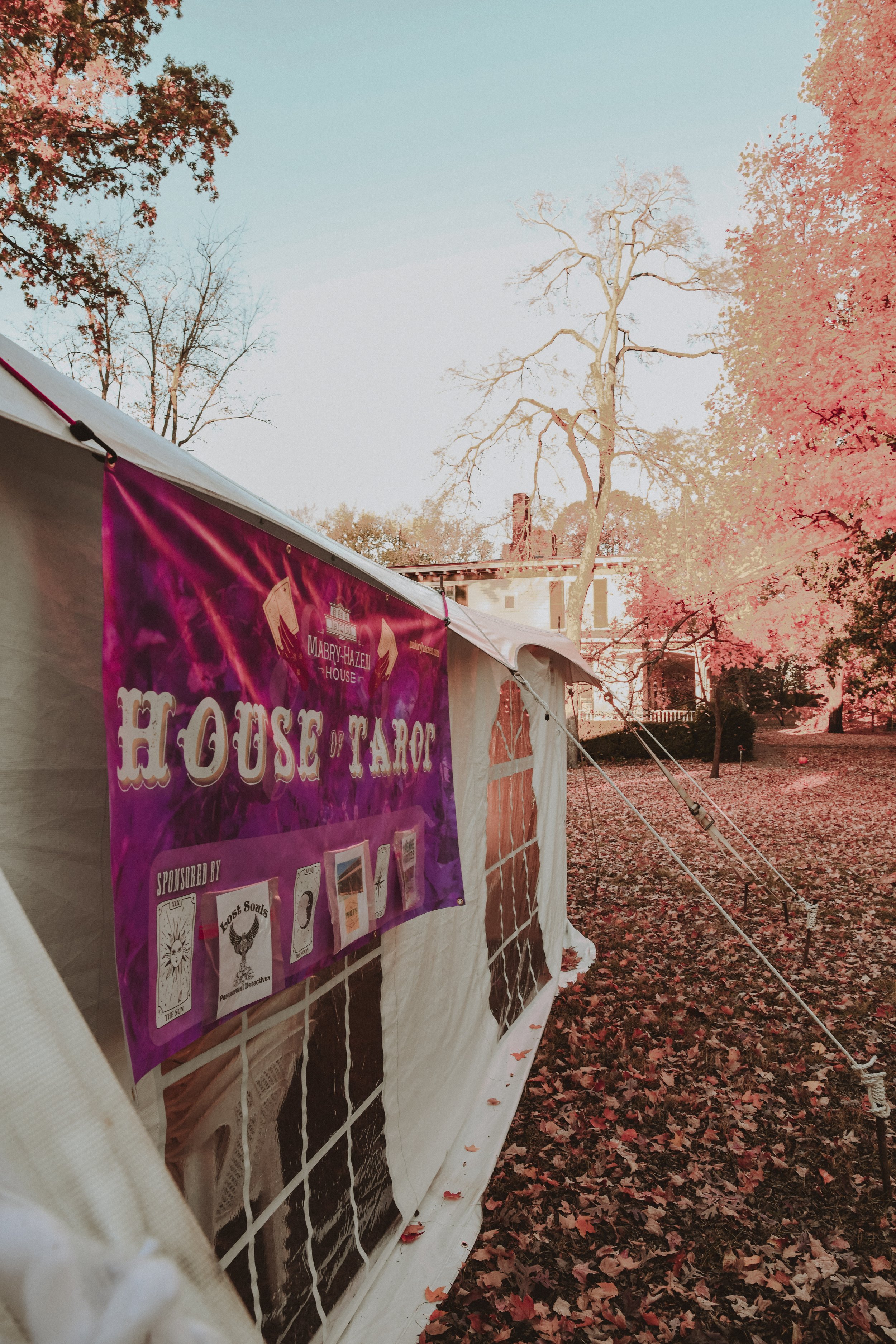  House of Tarot with Mabry-Hazen House behind. Photo  @awsnapshots  