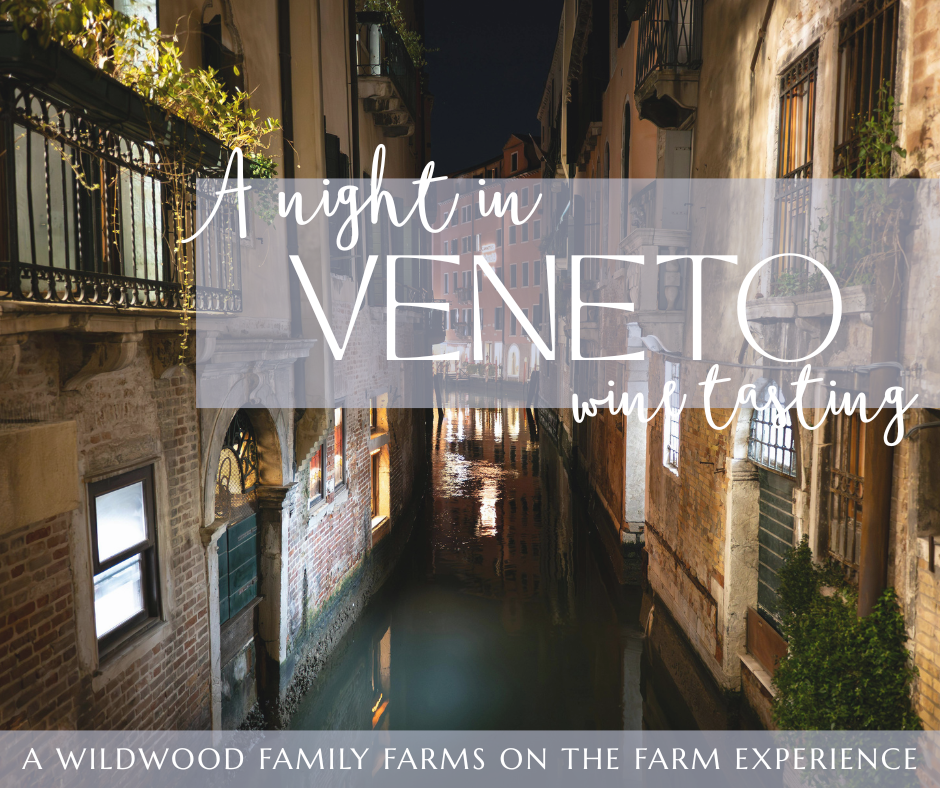 A Night in Veneto Wine Tasting