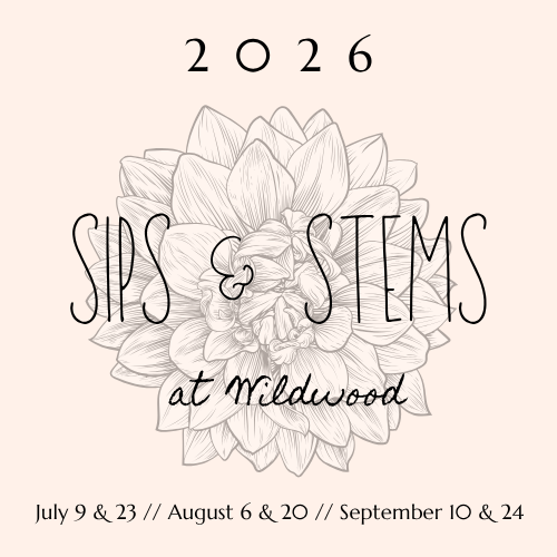 Sips & Stems #3