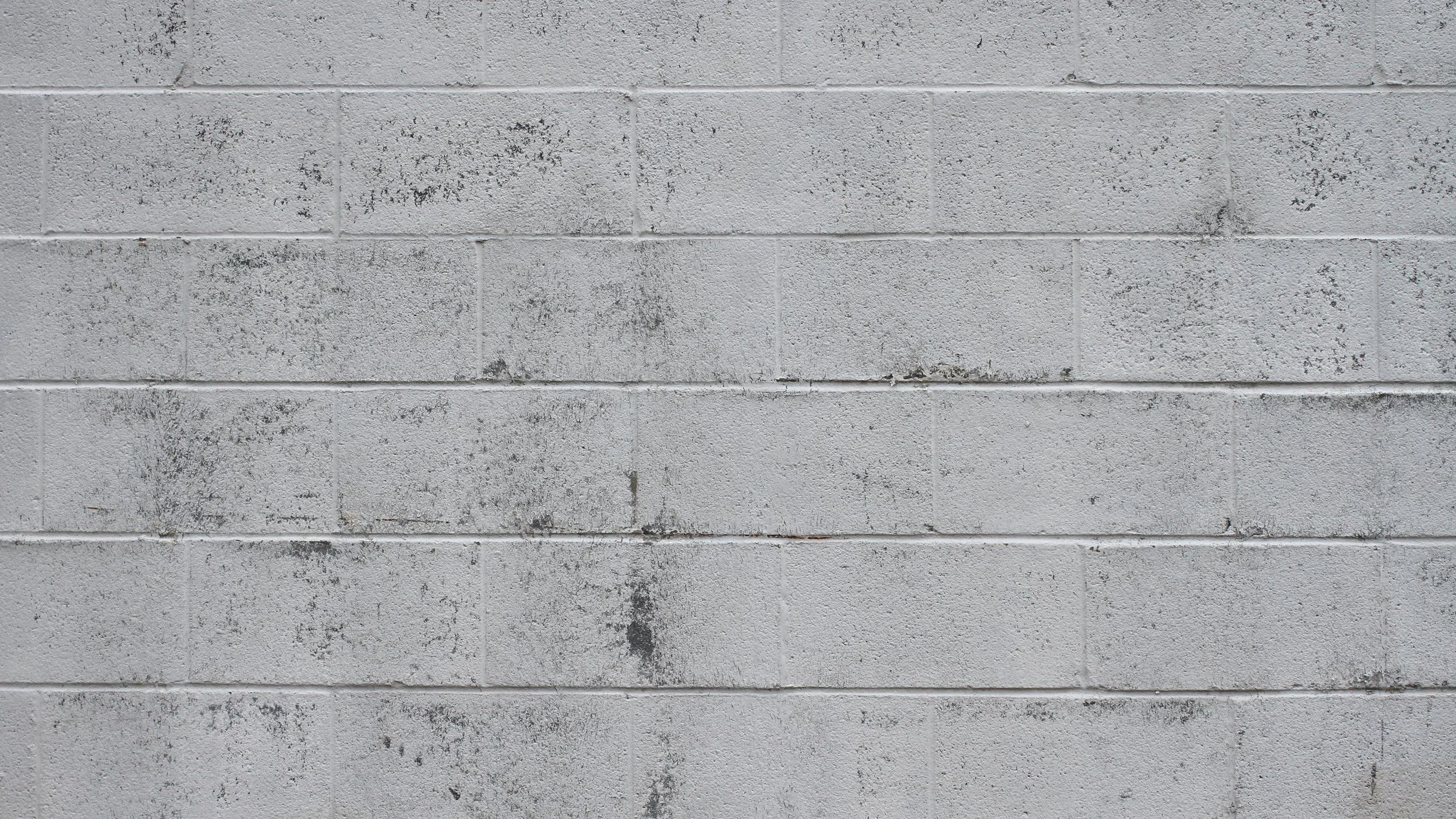 Wall 28.jpg