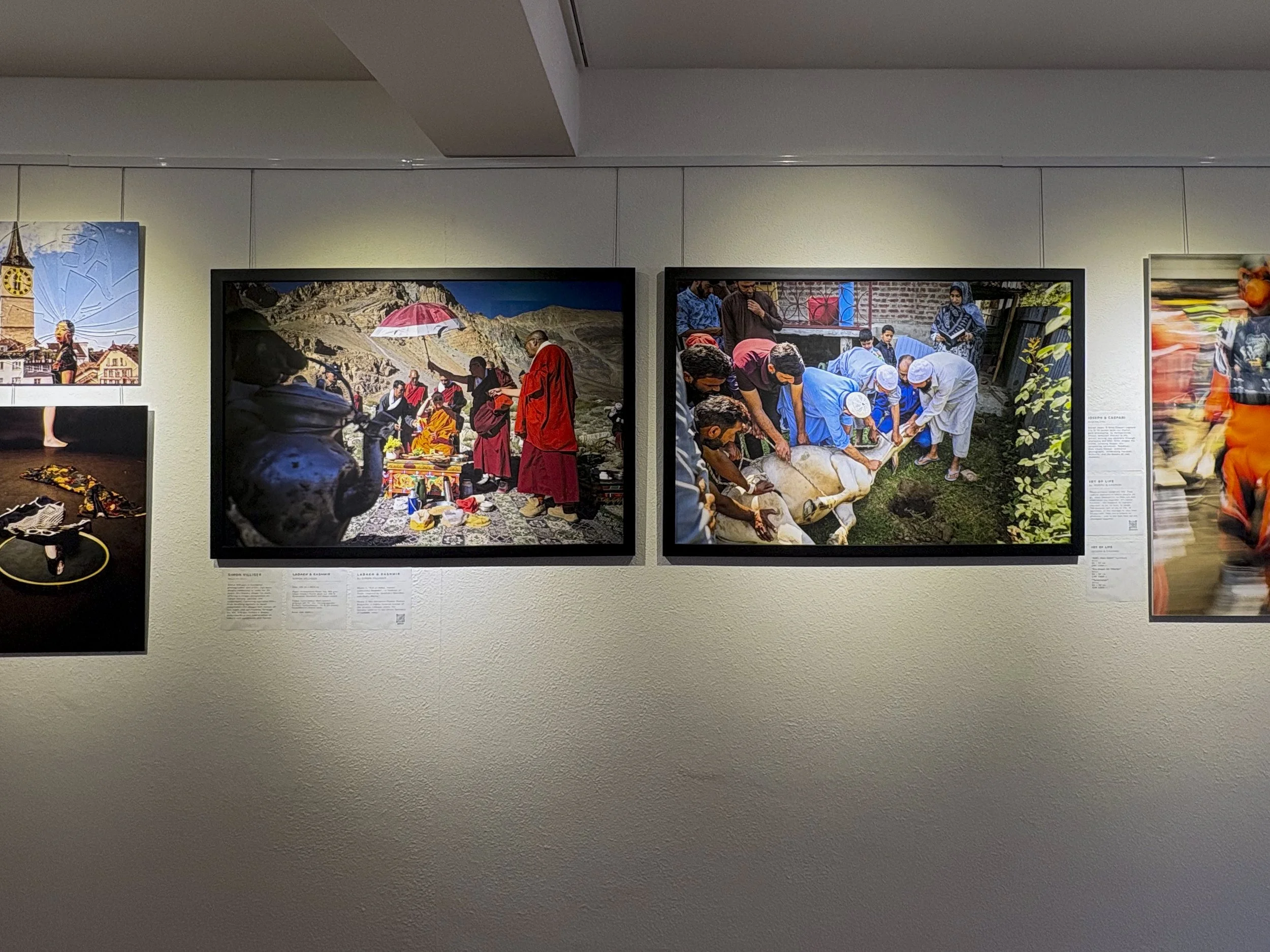 Galerie 6
Photography Group Exhibition: Awakening – A Celebration of Renewal
Mar 7 – Mar 28, 2025