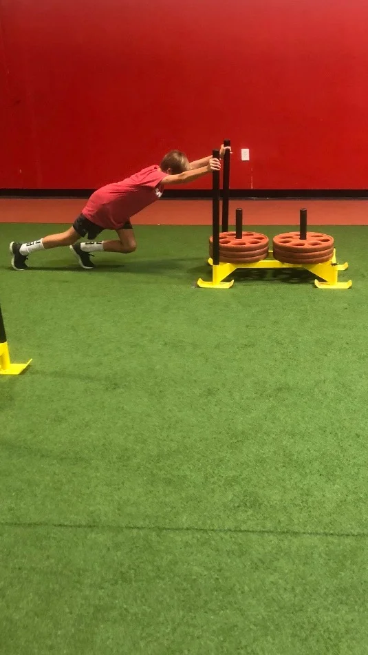 FORCE IS KING! Heavy sleds build strength in the appropriate positions.