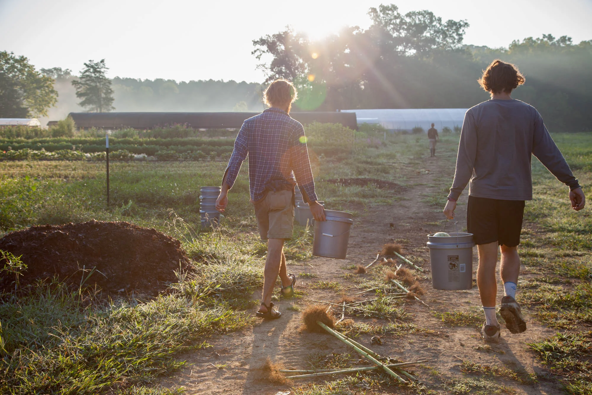 Although there are specific job titles, everyone pitches in to get things done. Fridays are big harvest days and everyone is on deck to get everything from tomatoes to cut flowers out of the fields and up to the barn for processing.