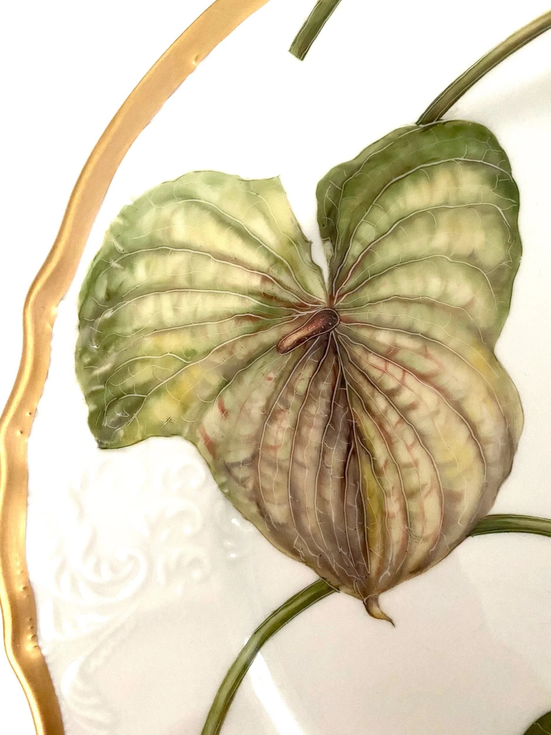 9B2979B5-CCC7-4958-BCA8-F95E50BA1AAA