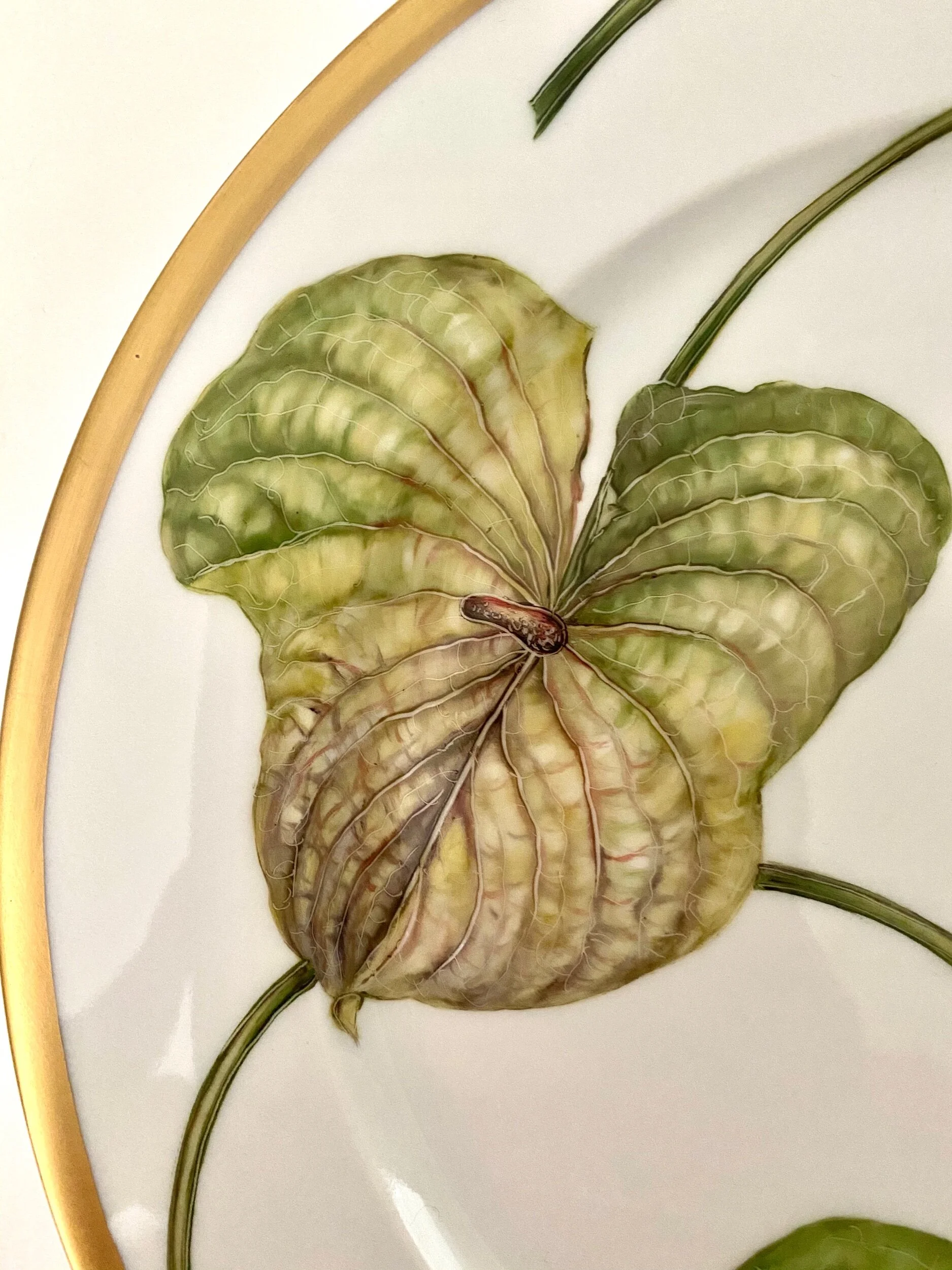 31AC3449-937C-45CA-9CA1-A09E1A8C4B95