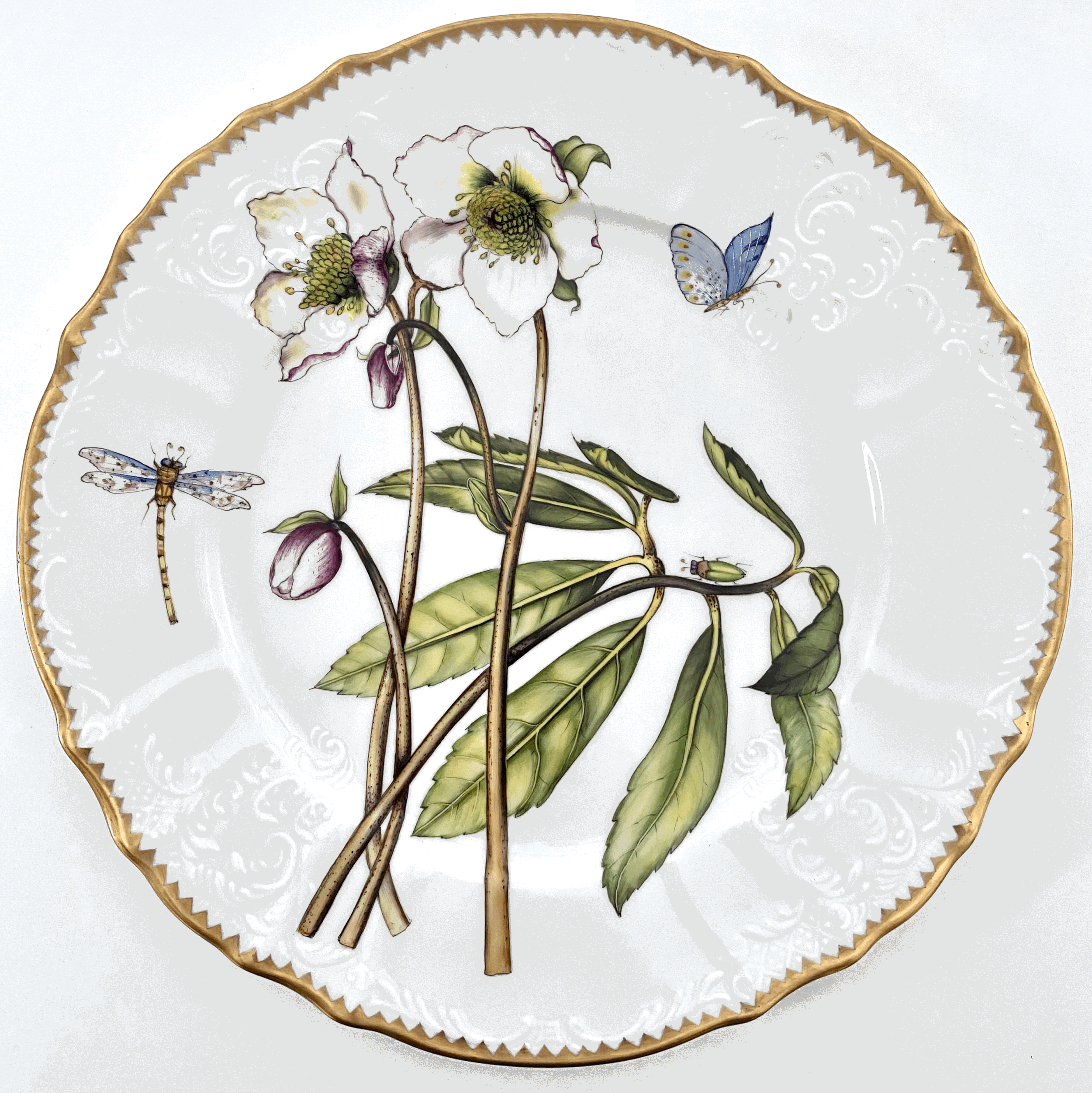 M9 - White Flower Dinner Plates