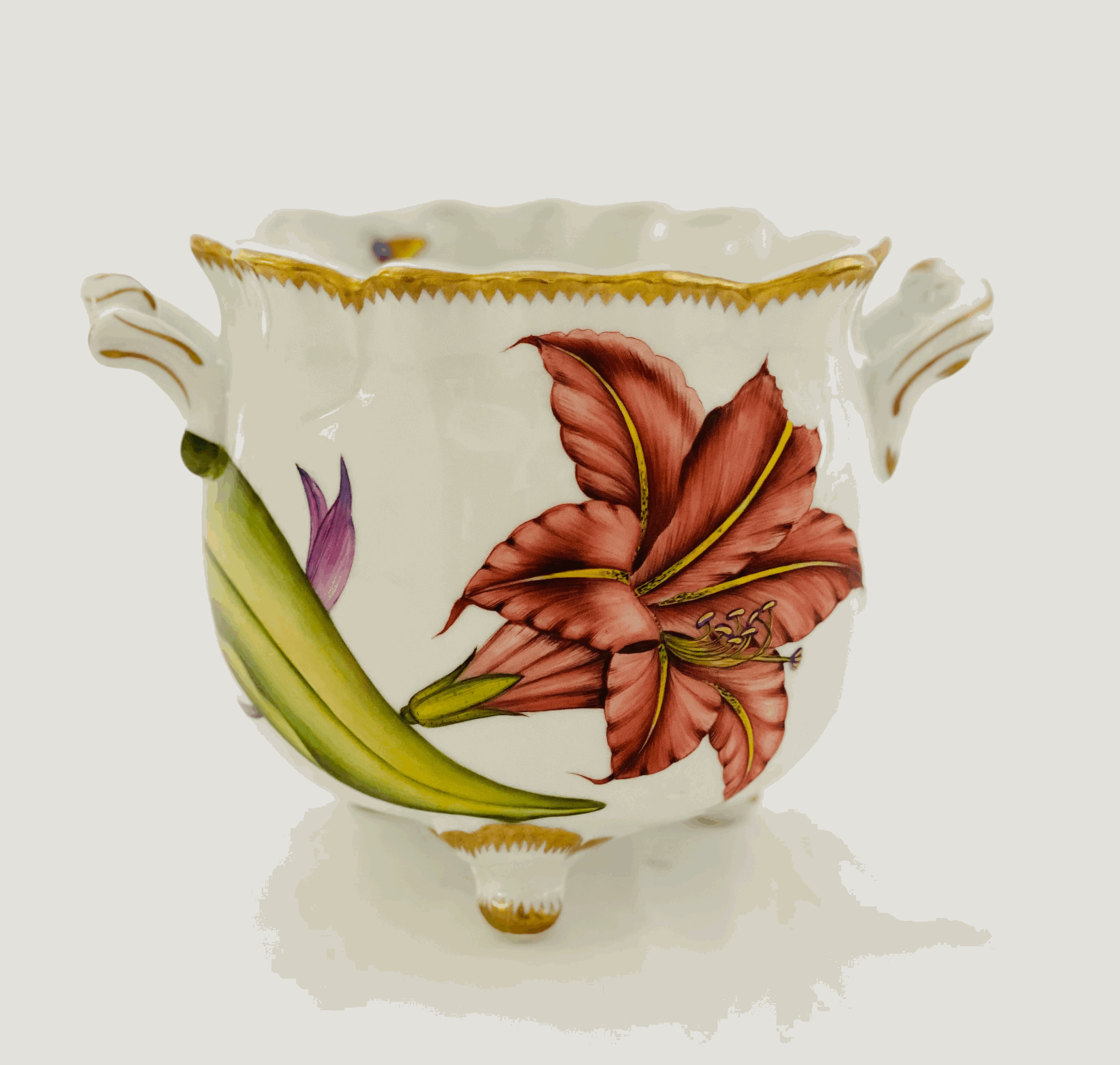 tempImageaI5ipd.gif