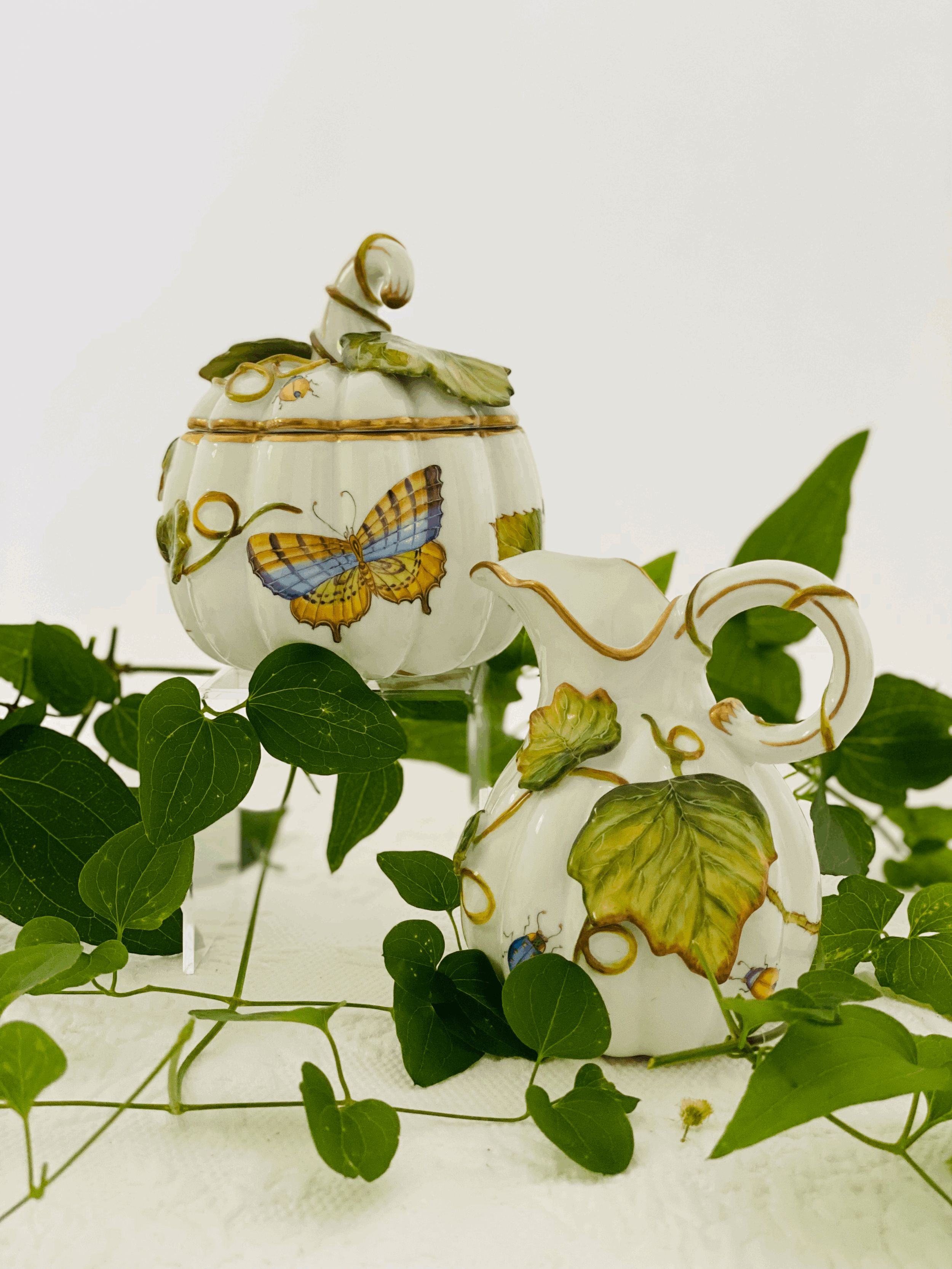tempImageylnGoR.gif