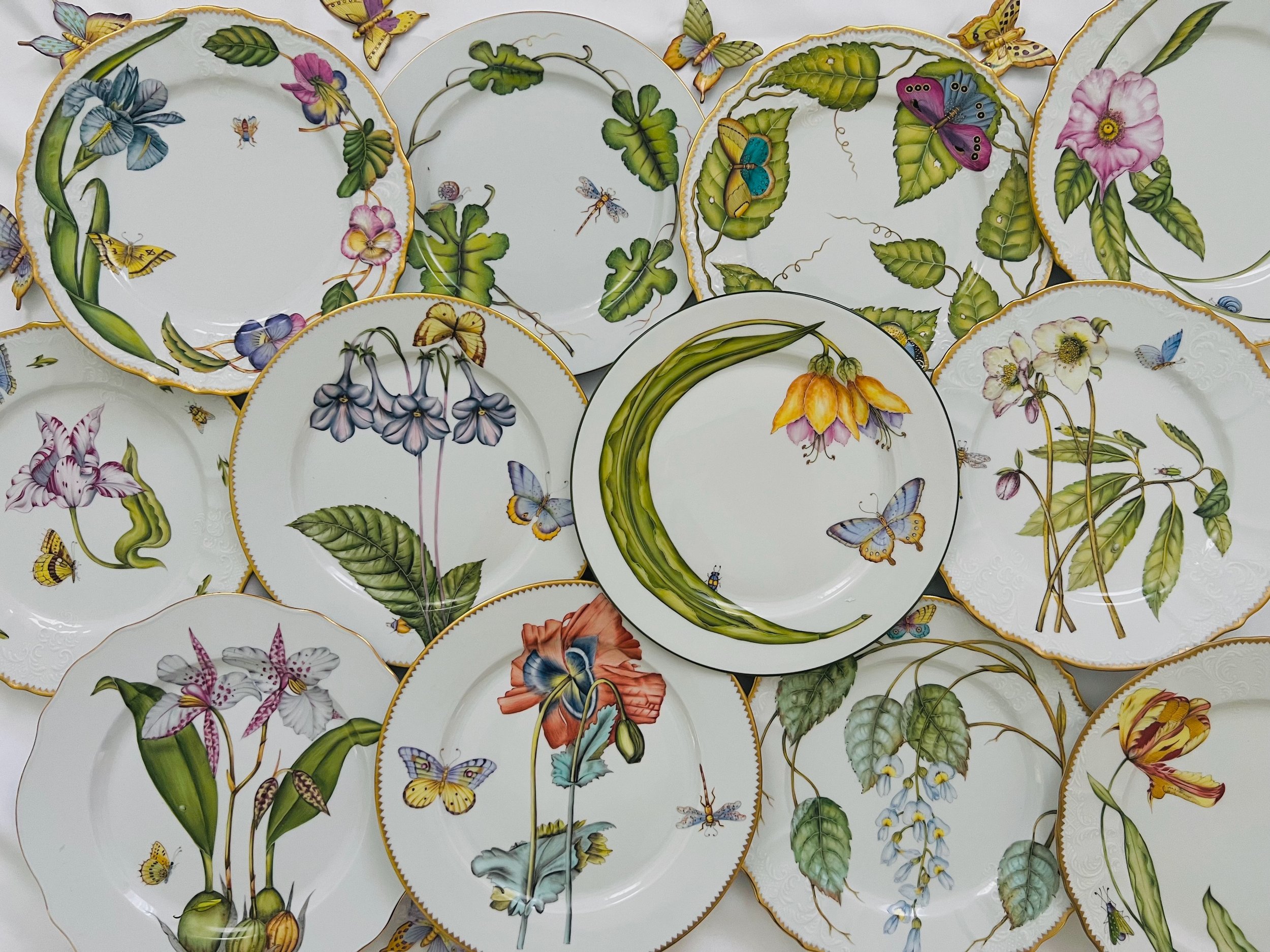 Dinner Plate Collection