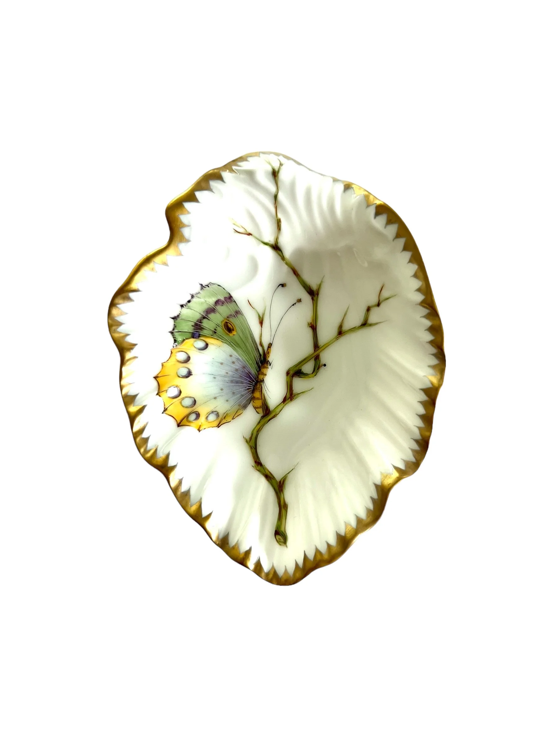 PhotoRoom_003_20231017_133741.JPG