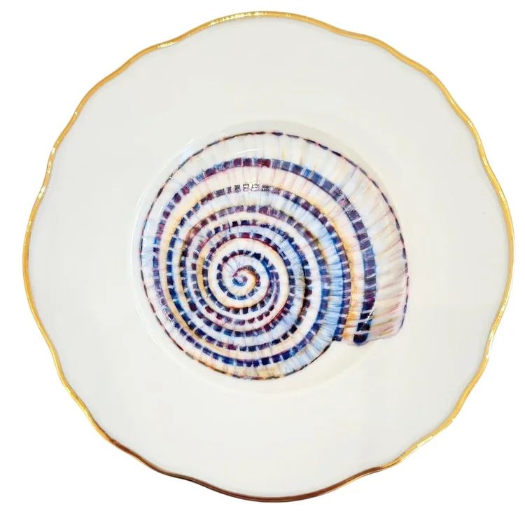 SH4P - SEASHELL BREAD &amp; BUTTER/APPETIZER PLATES