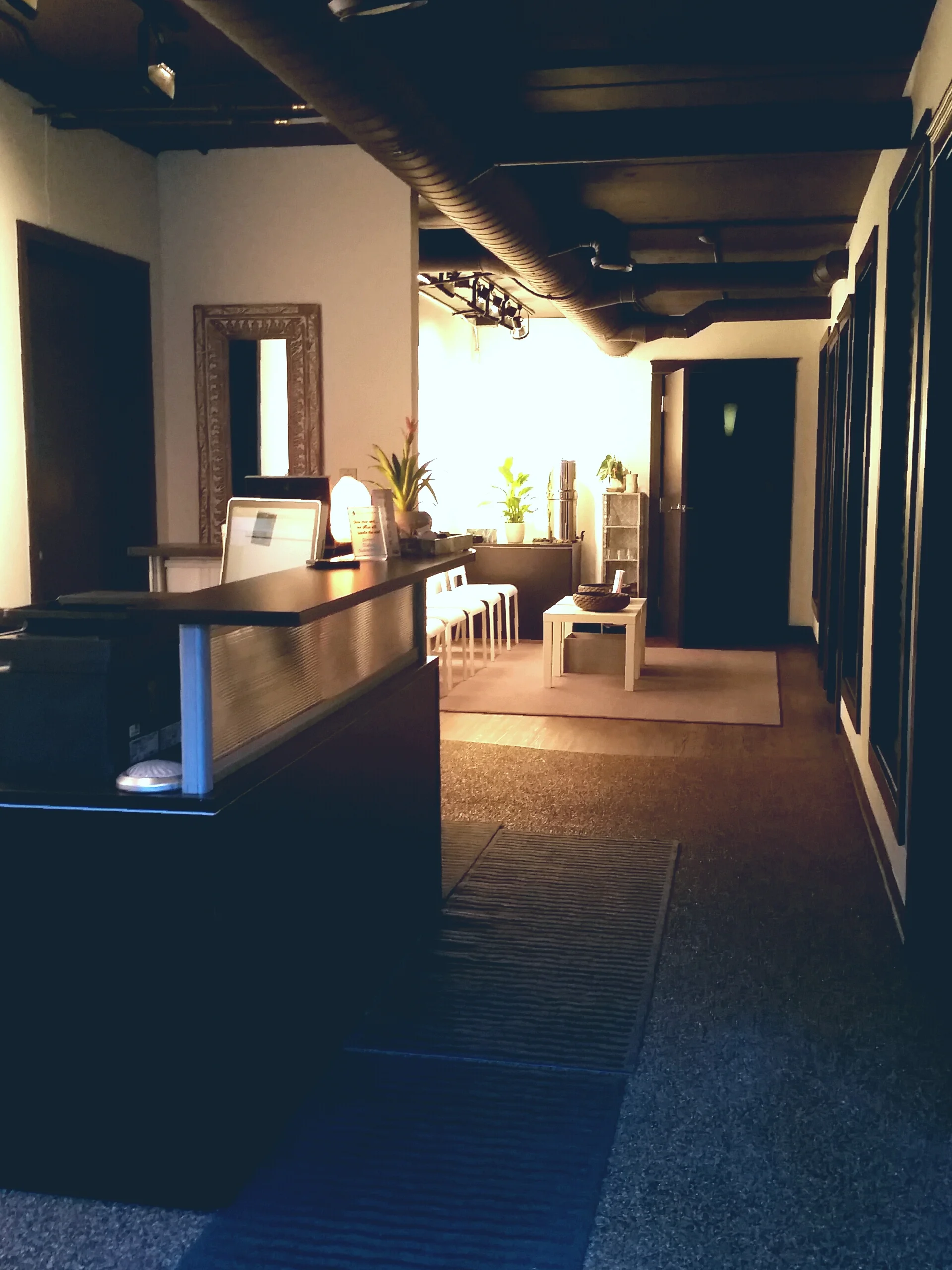 RESET Wellness, launching in August 2015!