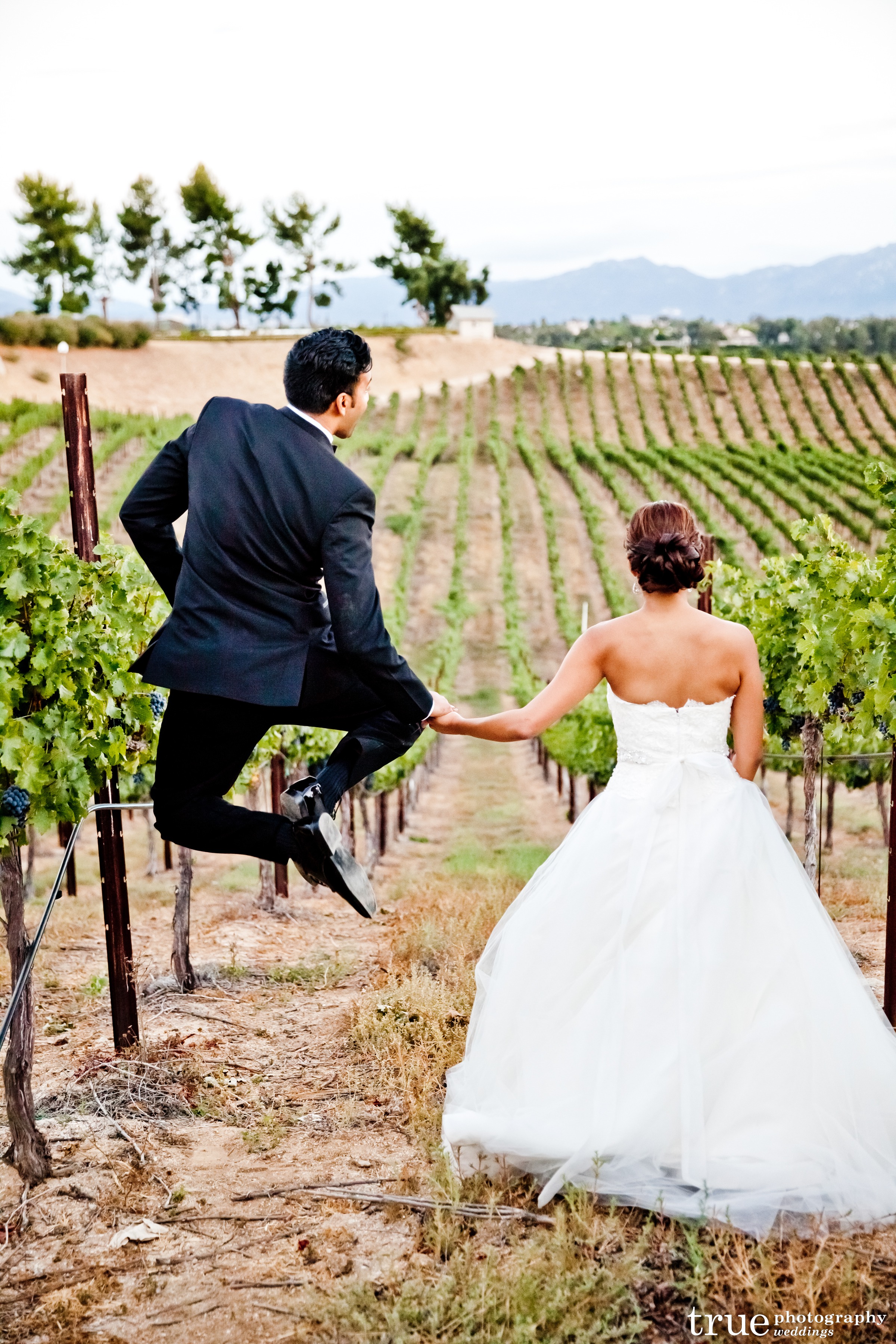 Callaway Vineyard and Winery Wedding | Temecula Winery Wedding | Michelle Garibay Events