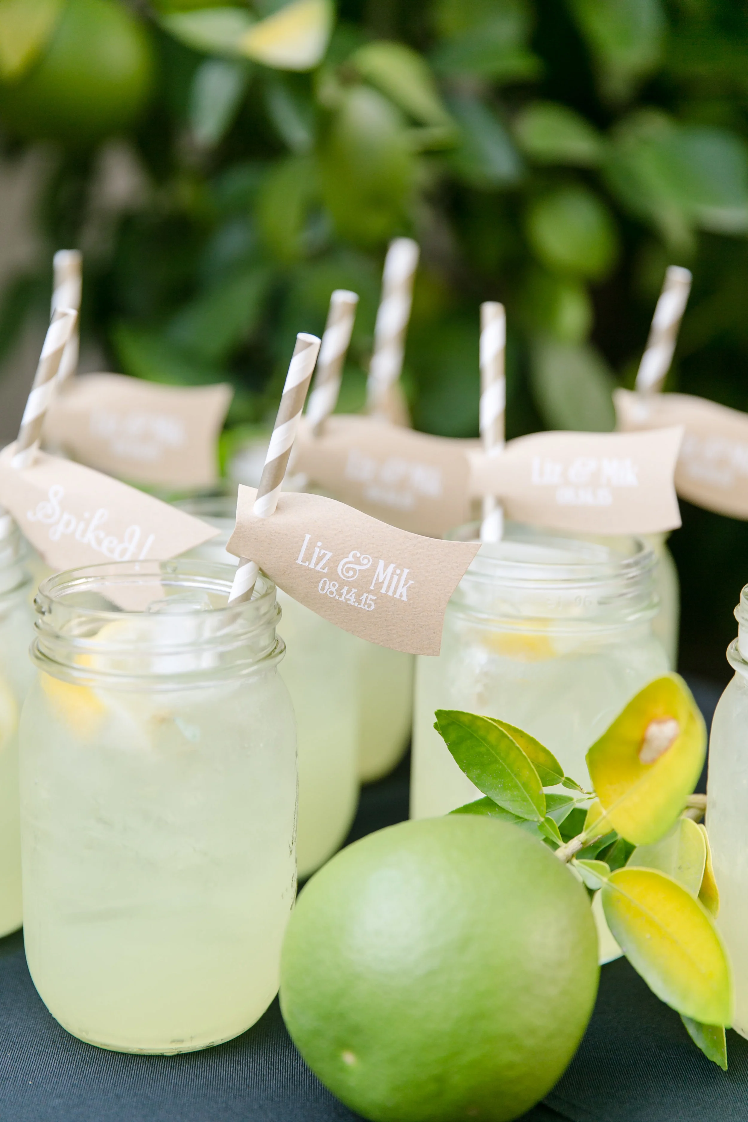 Rustic Lemonade Welcome Cocktail | Michelle Garibay Events