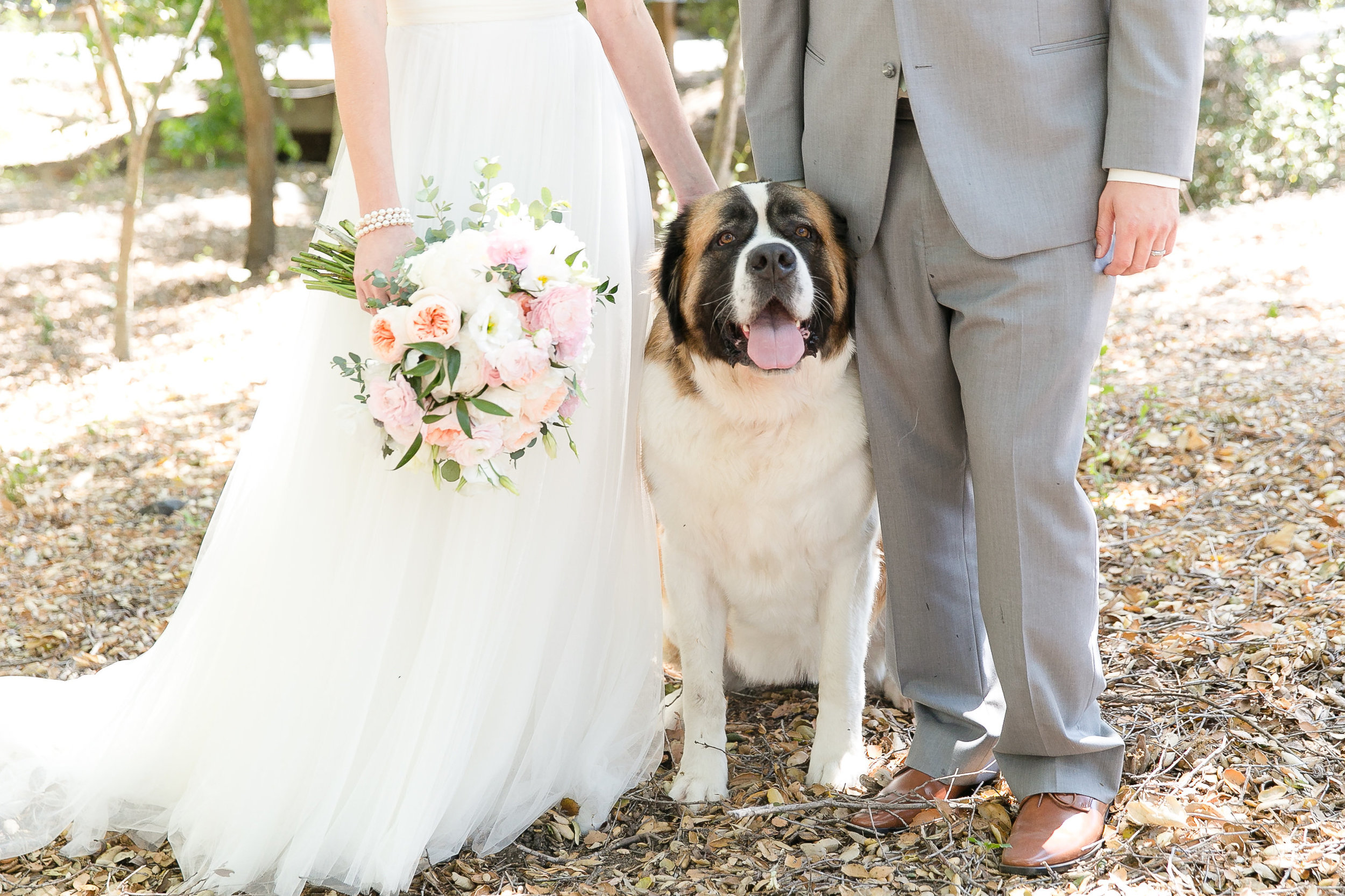 De Luz Estate Backyard Wedding | Leah Marie Photography | Michelle Garibay Events