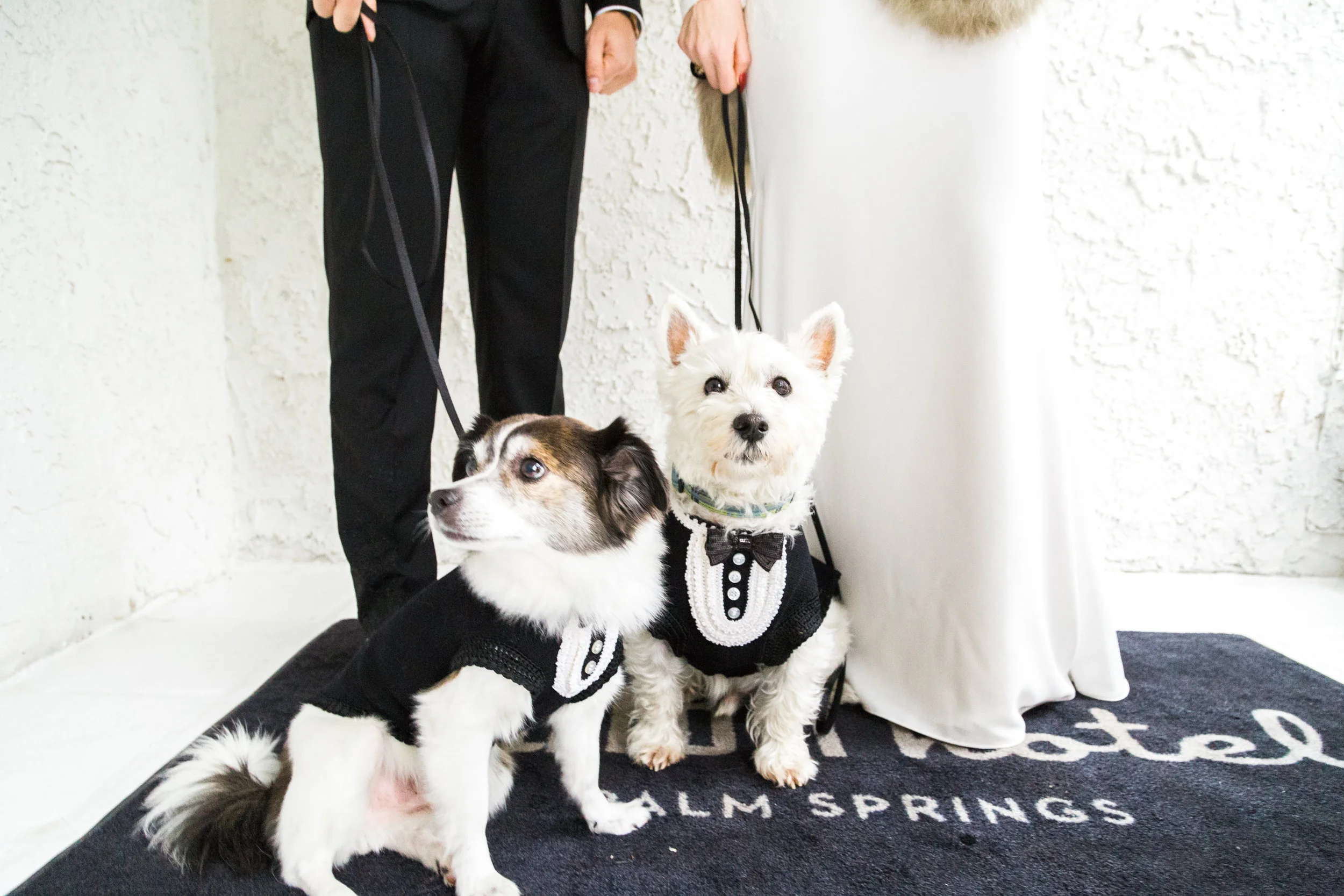 Modern Black and White Wedding in Palm Springs | Ashley La Prade Photography | Michelle Garibay Events