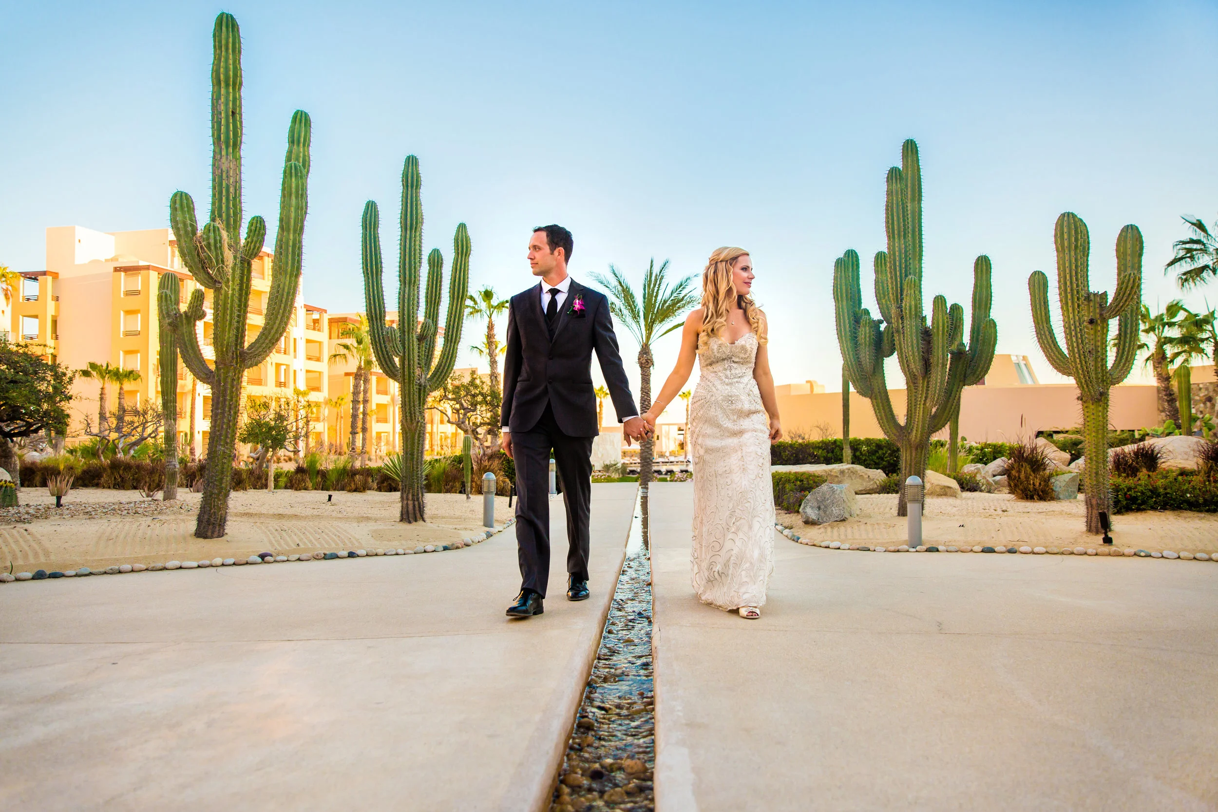 Beach Wedding Elopement in Cabo San Lucas | True Photography | Michelle Garibay Events
