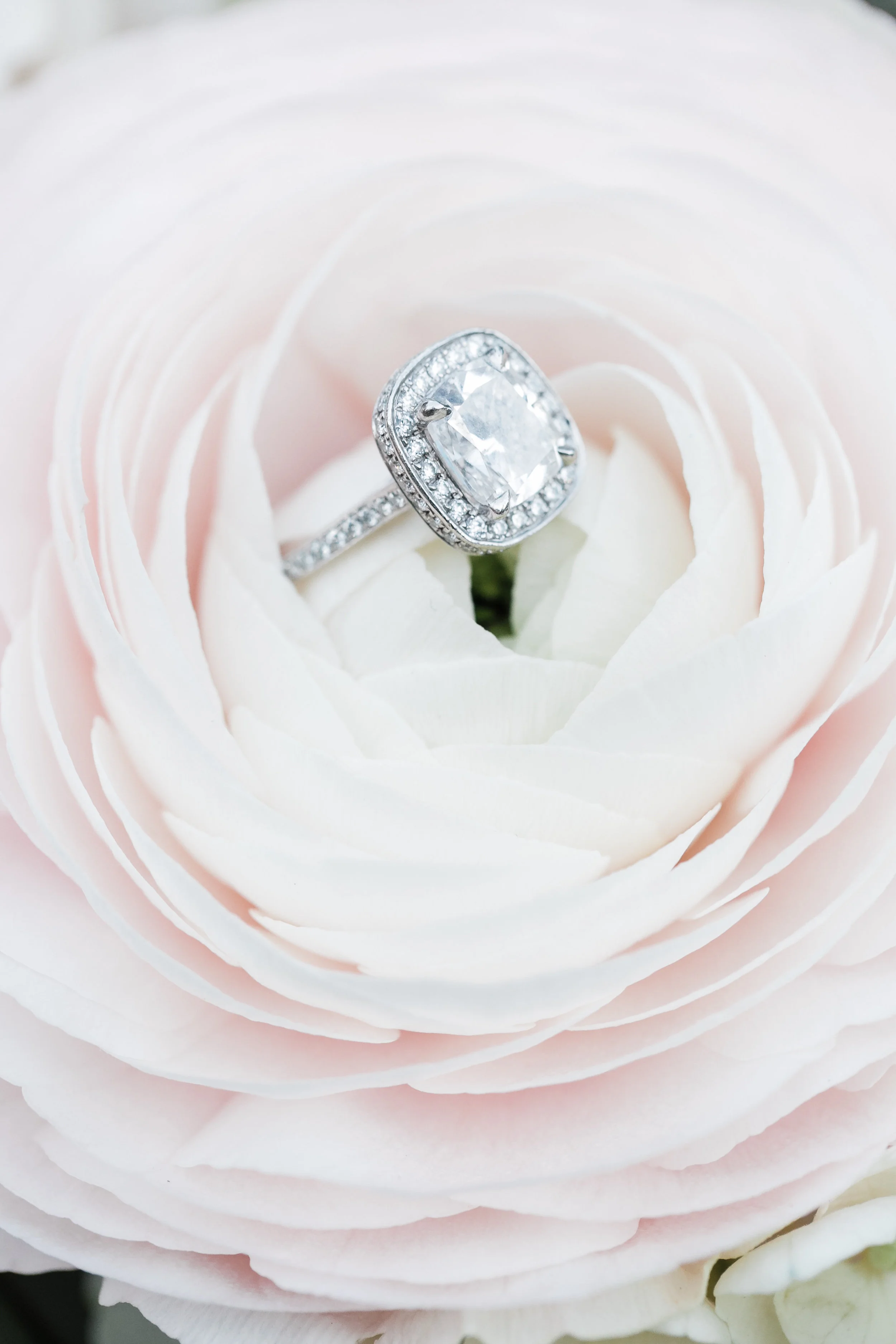 NFL Player Wedding in White and Blush | Leah Marie Photography | Michelle Garibay Events