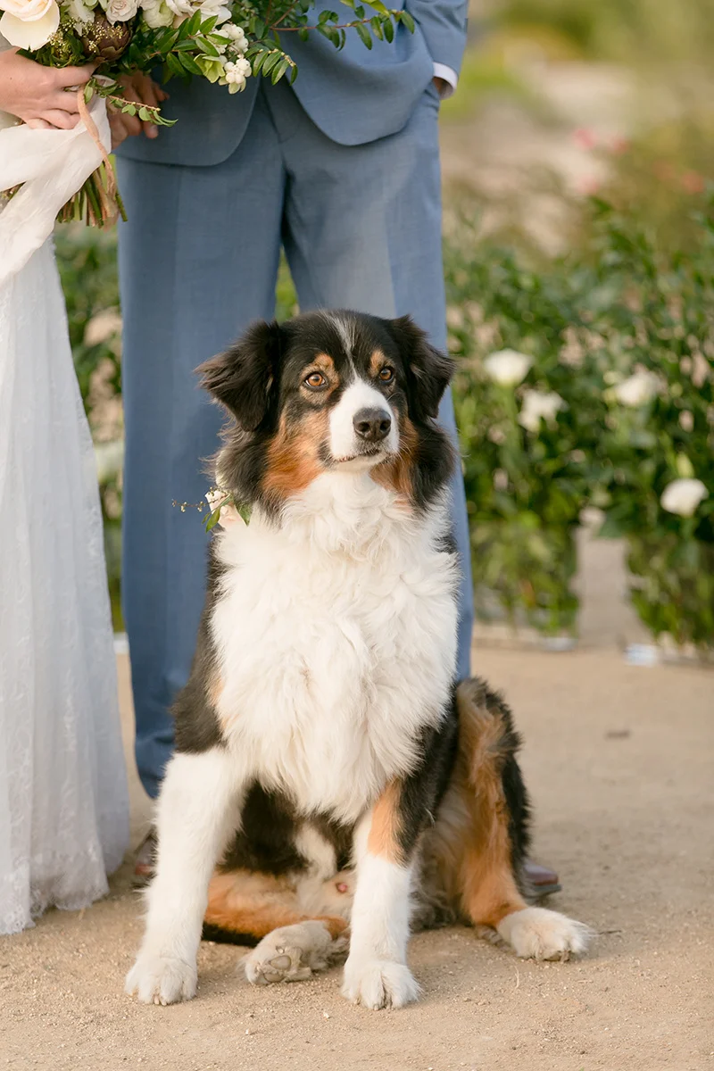 Slate Blue and Greenery Ranch Wedding Inspiration | Leah Marie Photography | Michelle Garibay Events
