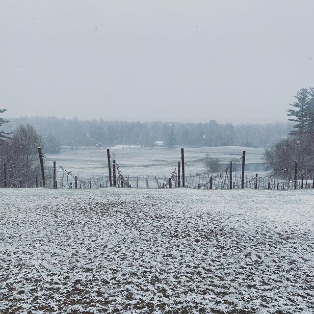 It&rsquo;s a snowy start up here! As a reminder we have curbside pick up today from 12-5pm.  Pre order your items by going to our website agronomyfarmvineyard.com/store.  Text us when you are close 508-212-9889 to get your order ready, otherwise just