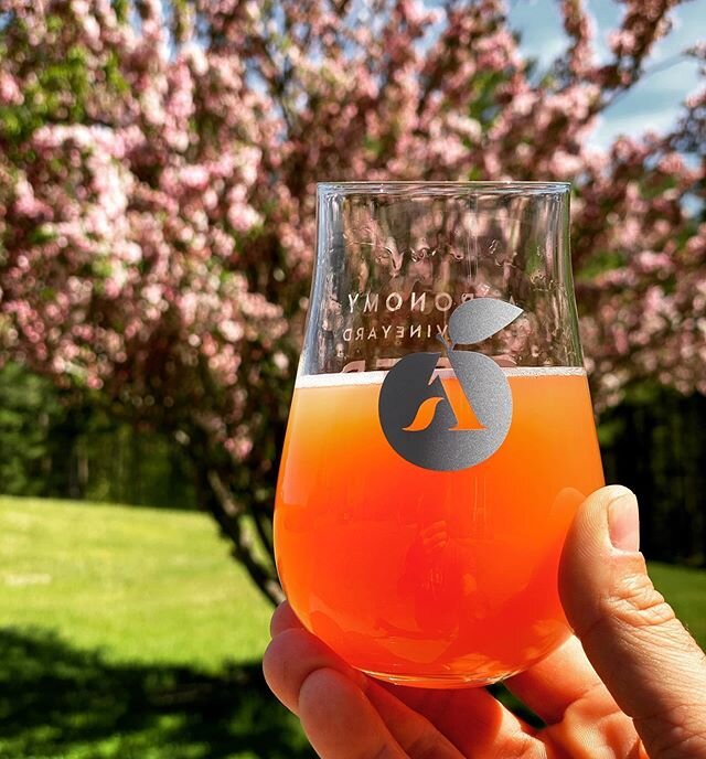 Anthos, our dry-hopped, blood orange hard cider is back on tap for the weekend. Online ordering is open and pickups are Saturdays, 12-5! #agronomyfarmvineyard