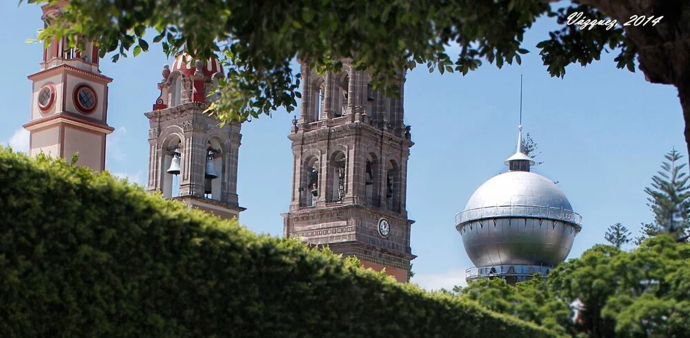 celaya+foto+para+website (1).jpg