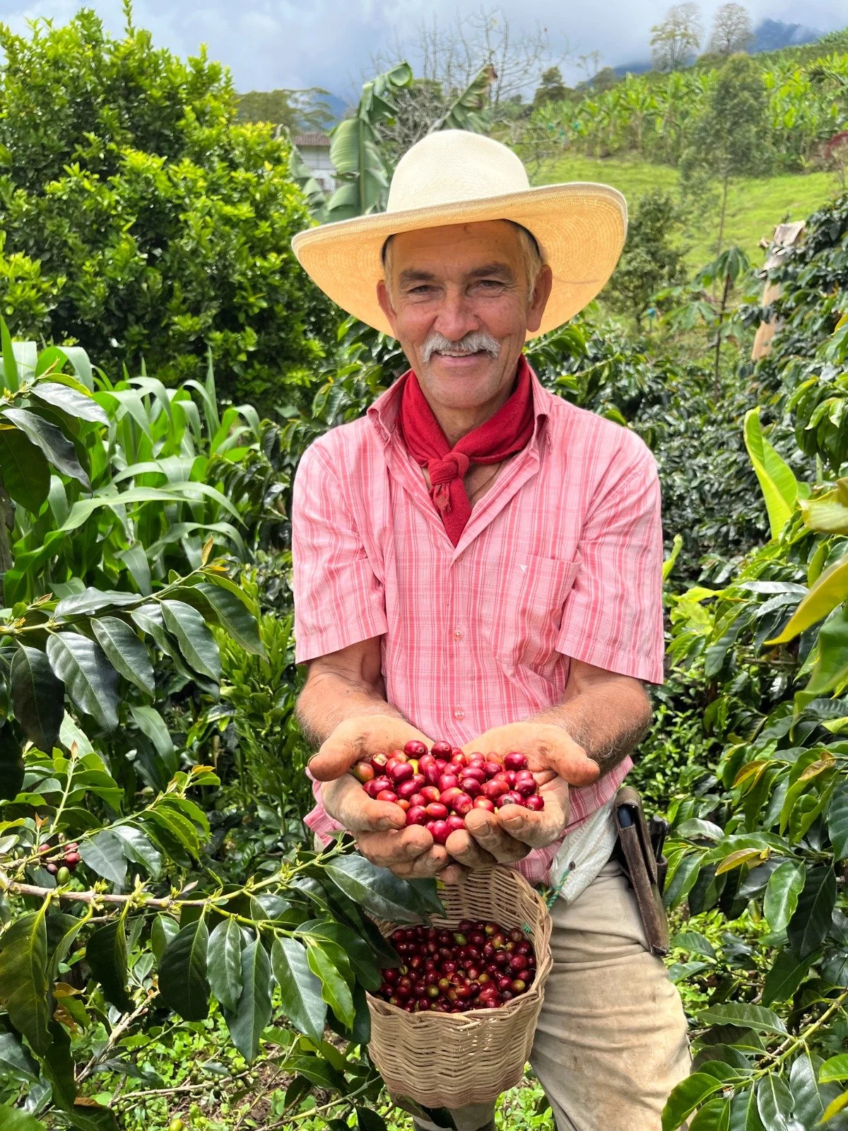 Tours de café y visitas a pueblos cercanos como Jericó