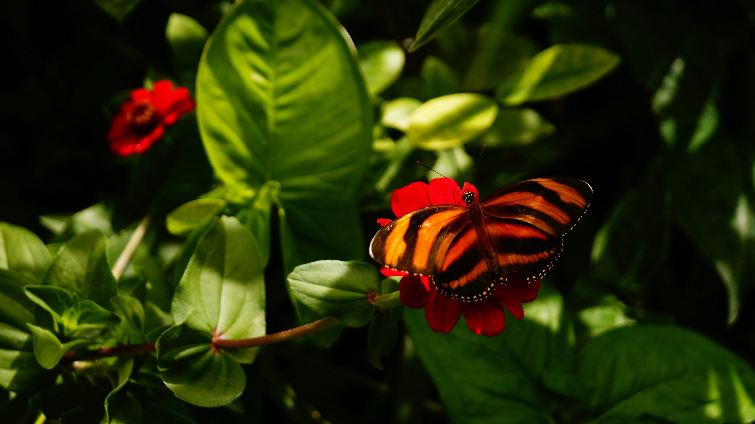 unsplash-image-RwaSq-nPvLs.jpg