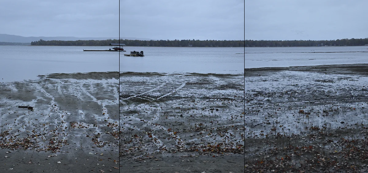 Constance Bay Triptych No. 2, 2011