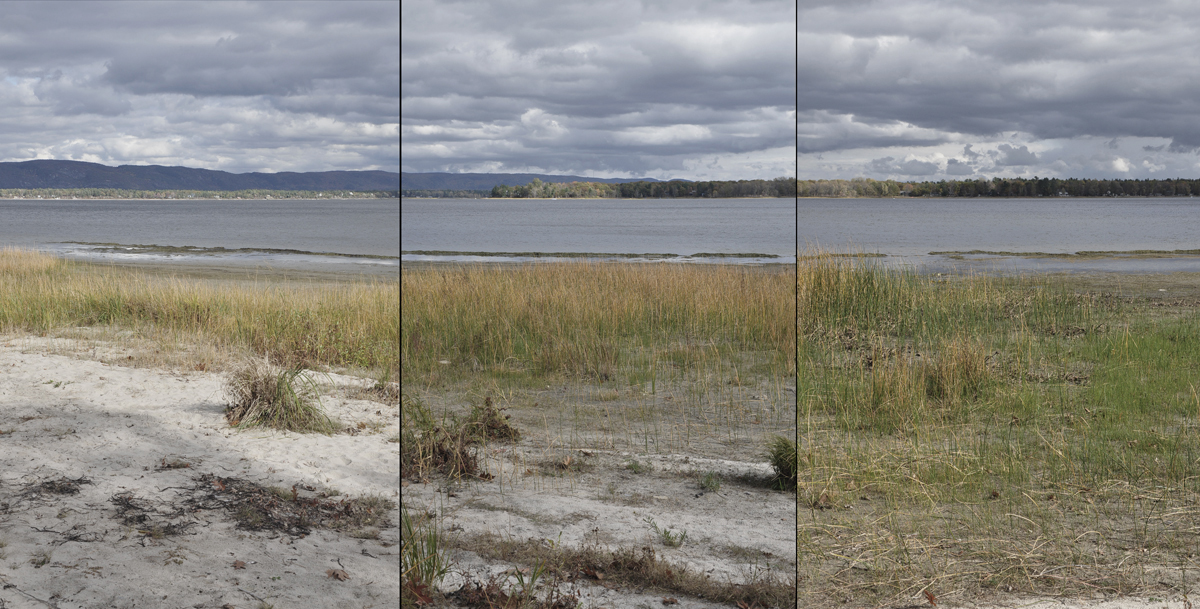 Constance Bay Triptych No. 4, 2011