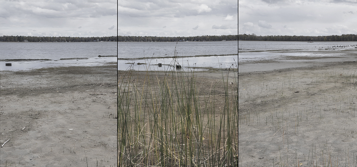 Constance Bay Triptych No. 8, 2011