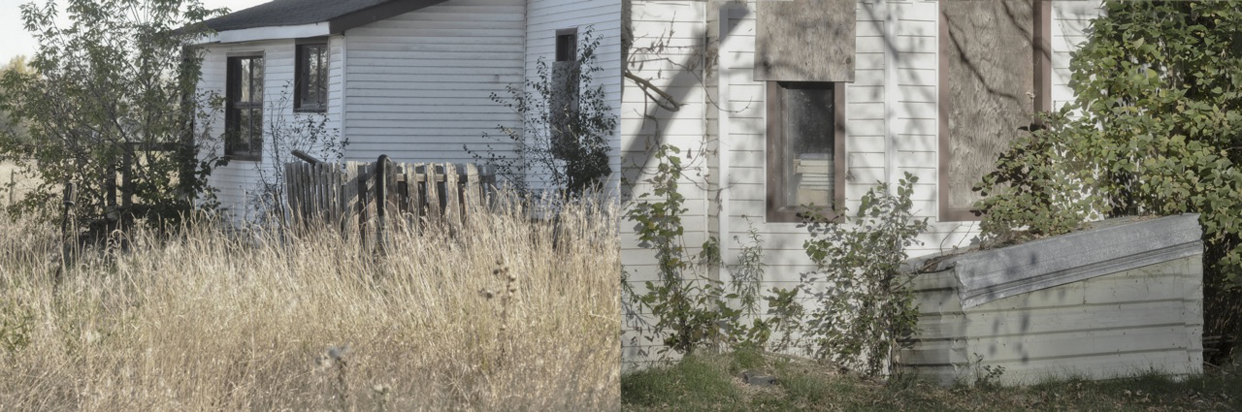 Dunrobin Farm, 2013