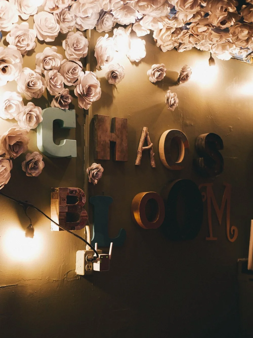 Chaos Blooms
