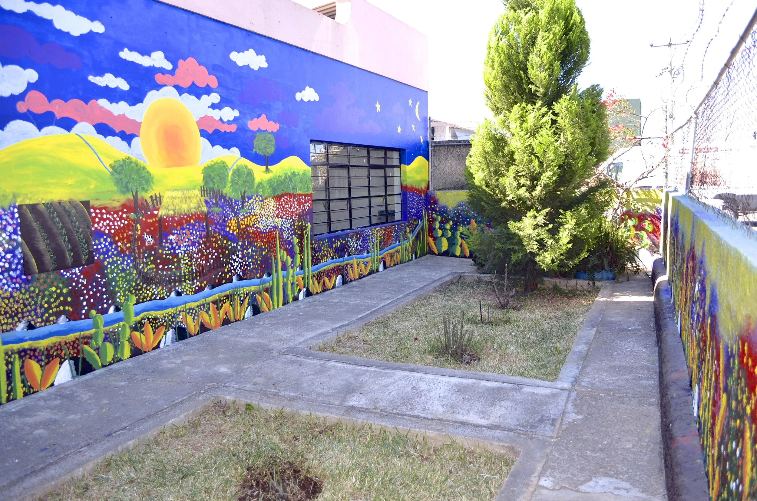 sun-clouds-yard.jpg