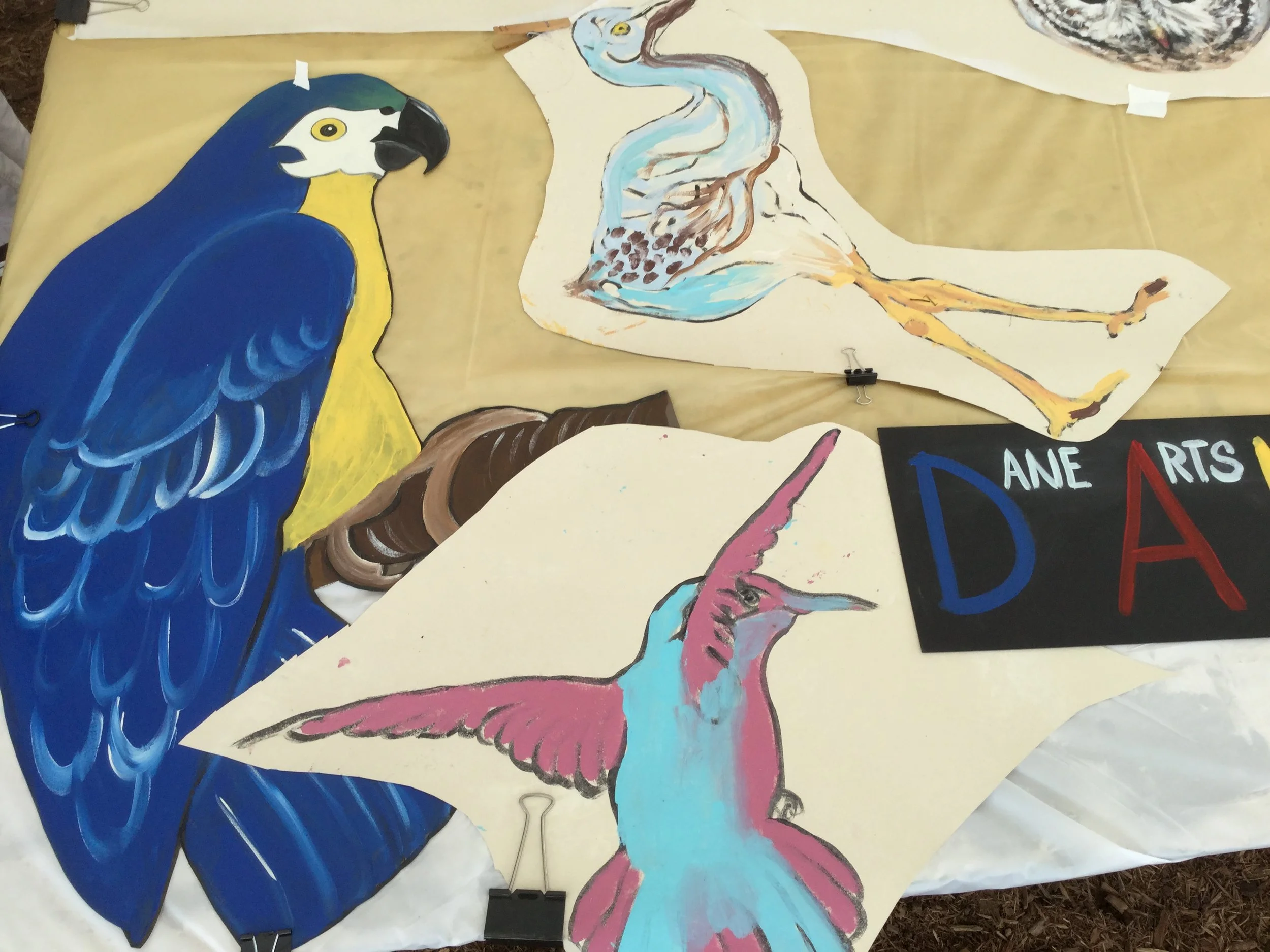 Verona High School Exploration Academy 