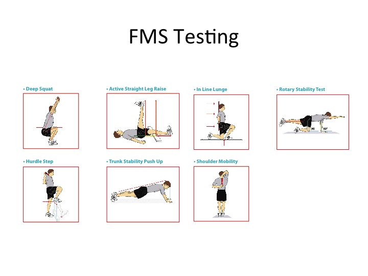 Fms index. FMS тестирование. FMS сратема тестирование. Система функционального тестирования FMS. FMS тестирование в фитнесе.