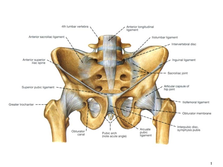 fremsætte Alfabetisk orden Hjemløs sacroiliac pain — Mend Physical Therapy Blog and Injury Information — Mend