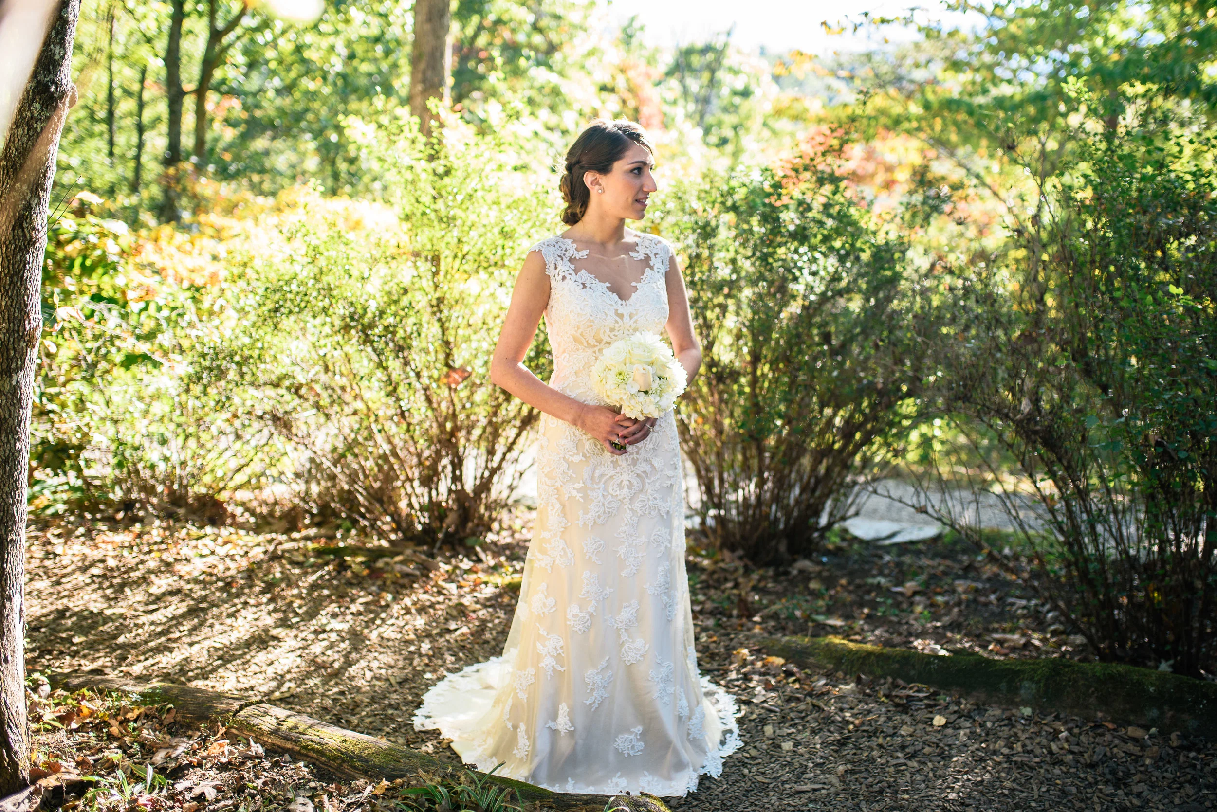 Mountaintop Bridal Portraits - Asheville Wedding Photographer