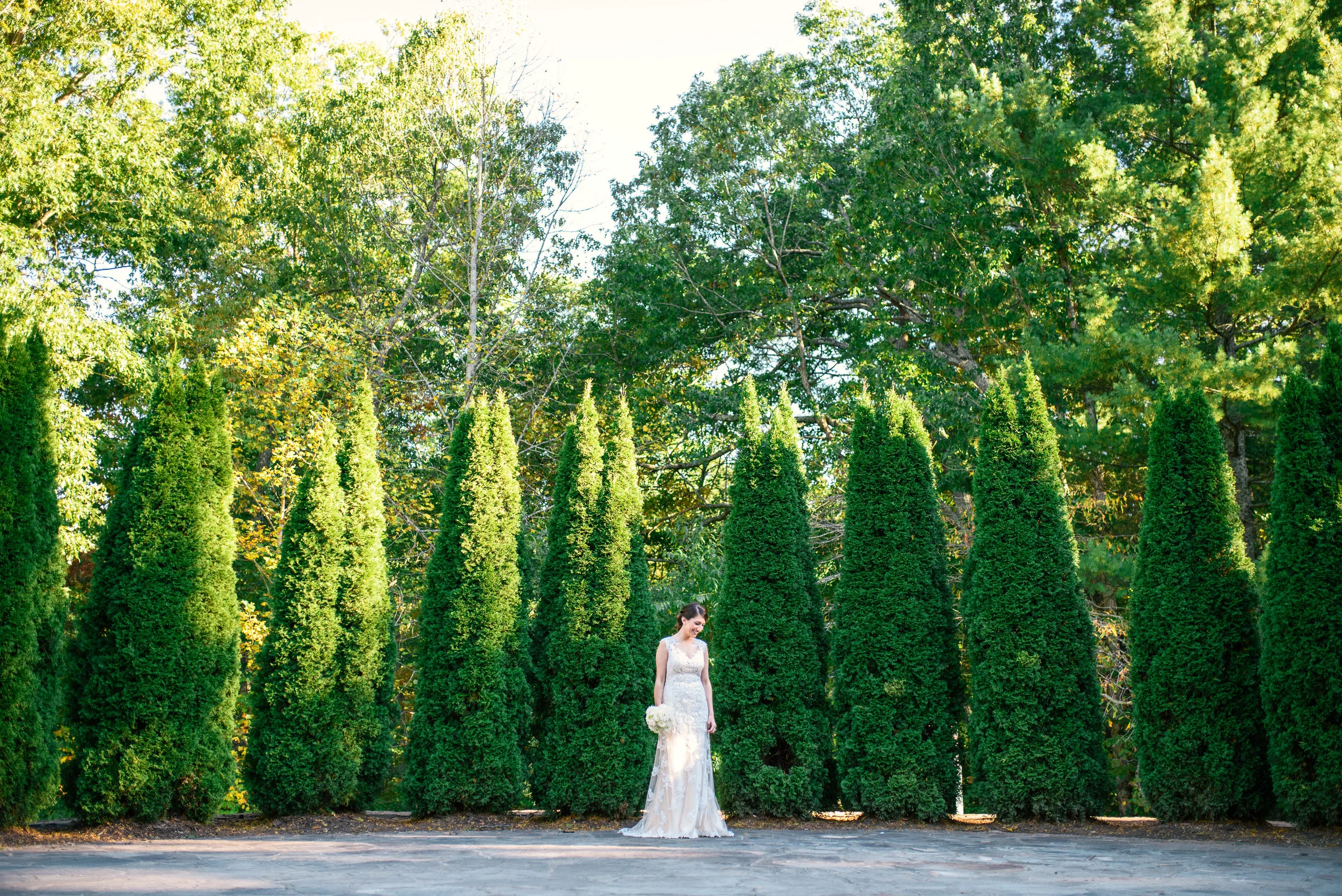 Mountaintop Bridal Portraits - Asheville Wedding Photographer