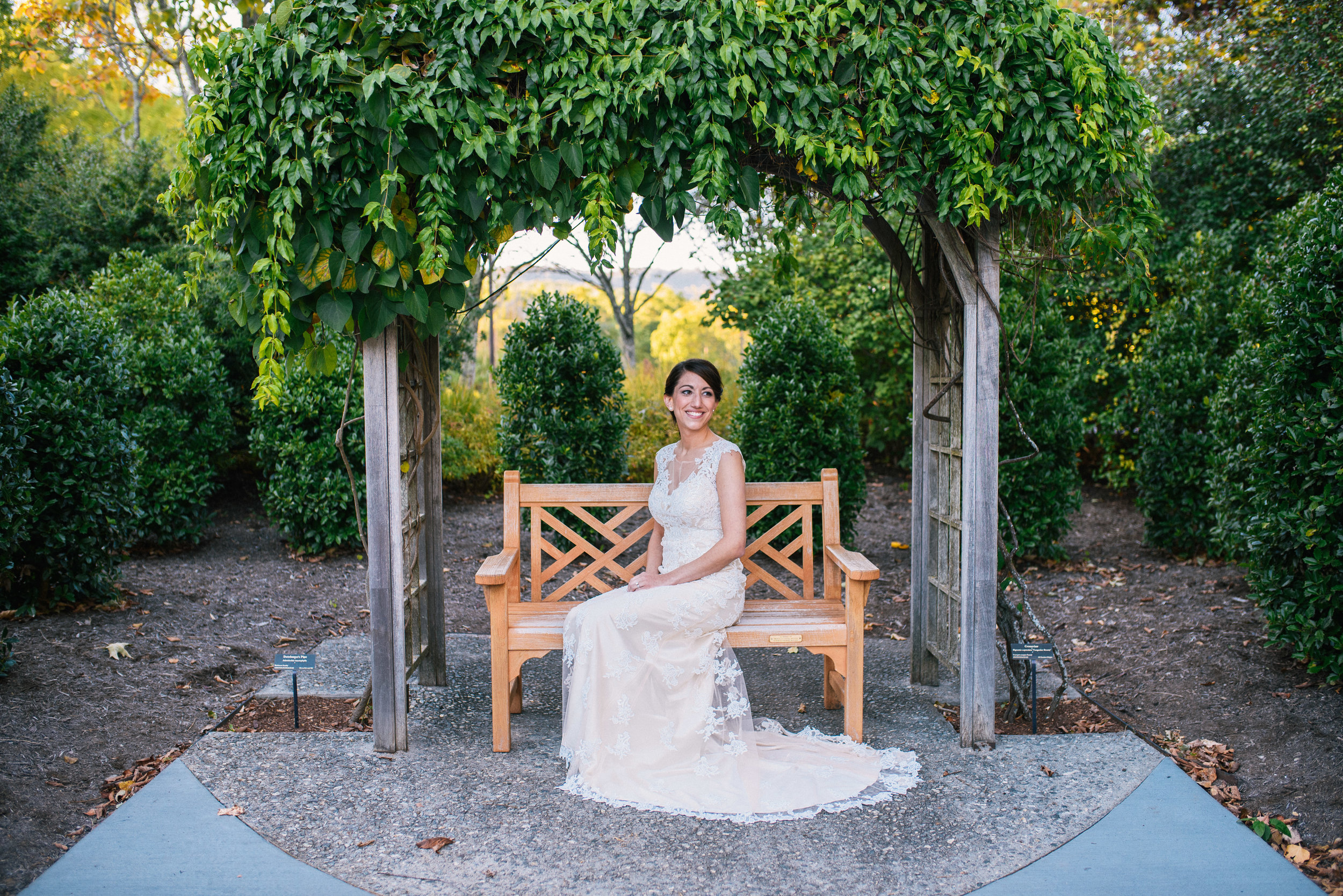 Mountaintop Bridal Portraits - Asheville Wedding Photographer