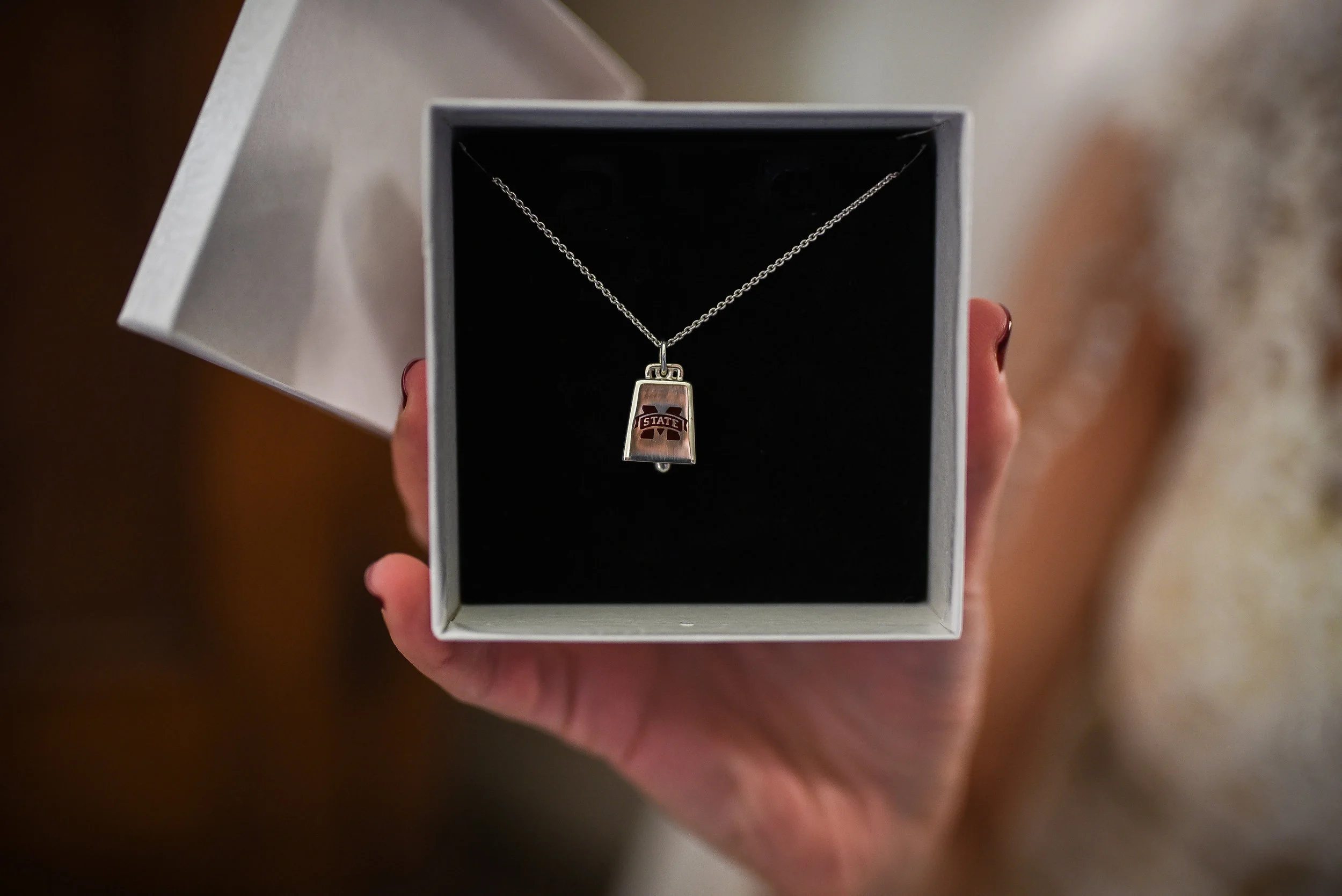 Asheville Wedding Photographer - North Carolina Wedding Photographer - Biltmore Wedding