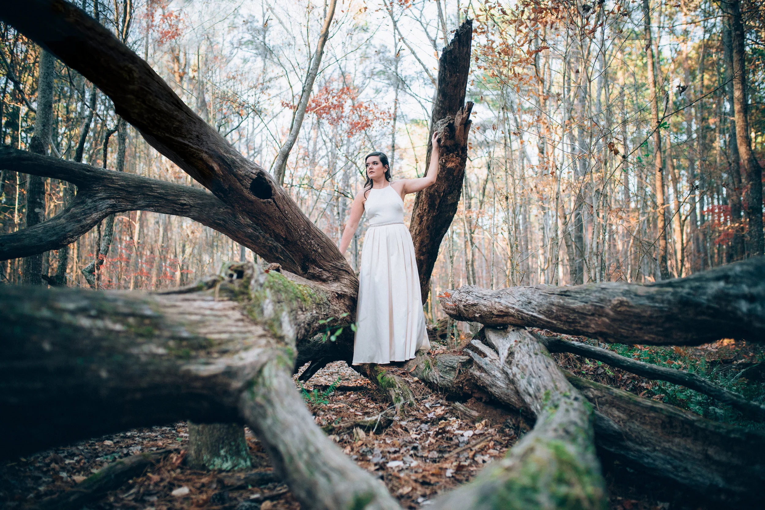 Emily's Bridal Portraits at Umstead Park 