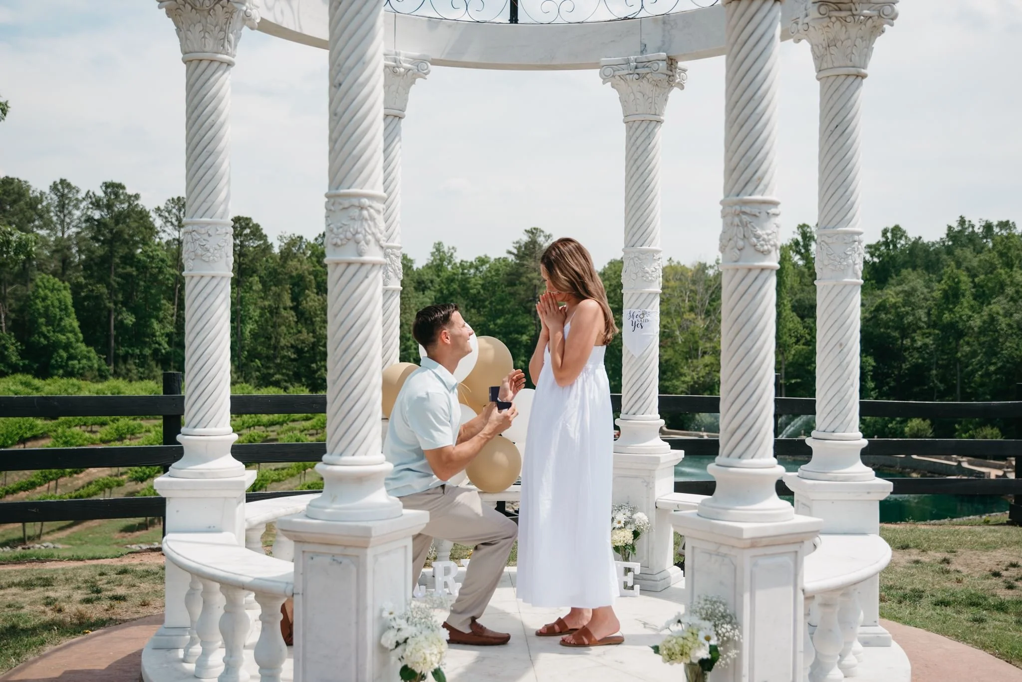 Liz &amp; McCauley's Proposal at ZincHouse Winery &amp; Brewery