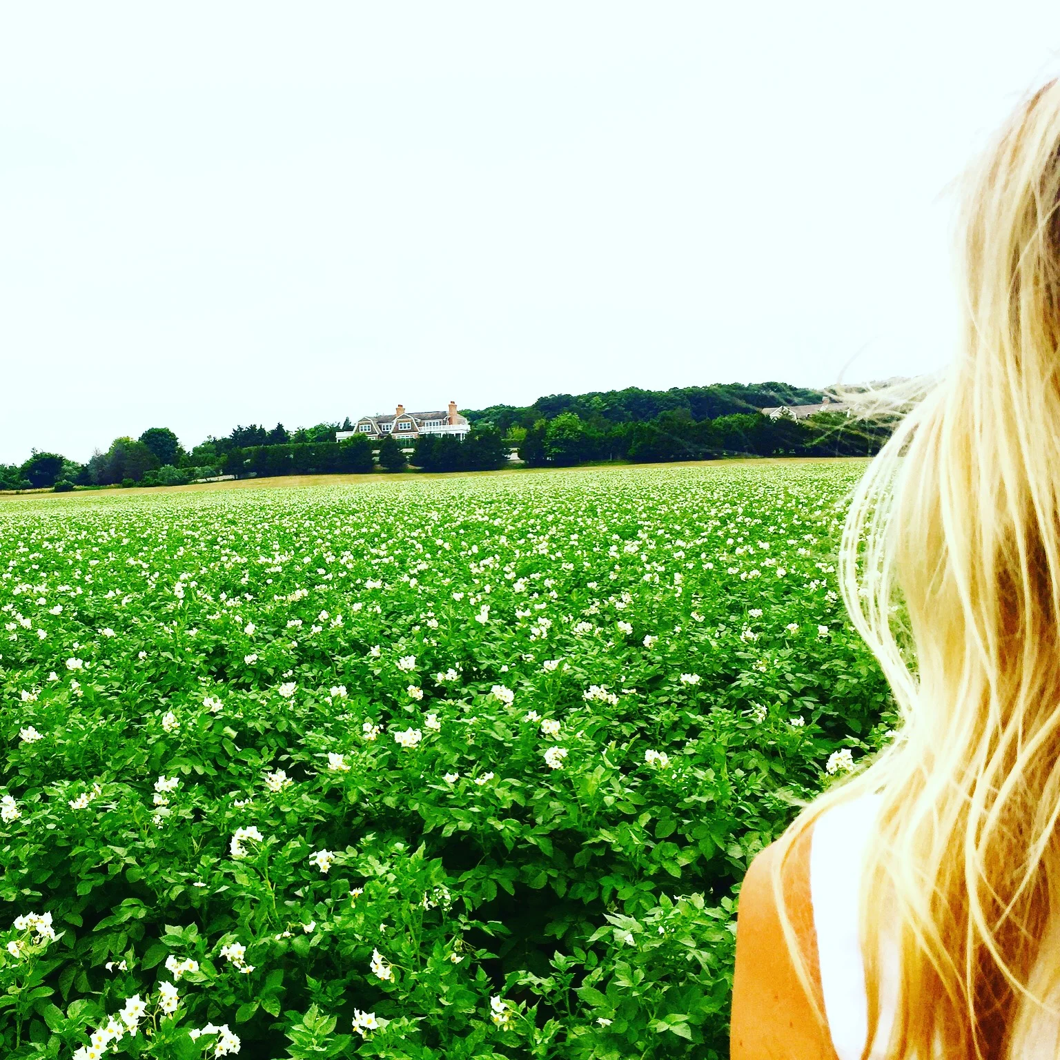 A Picture Perfect Weekend Summer Weekend in Sag Harbor