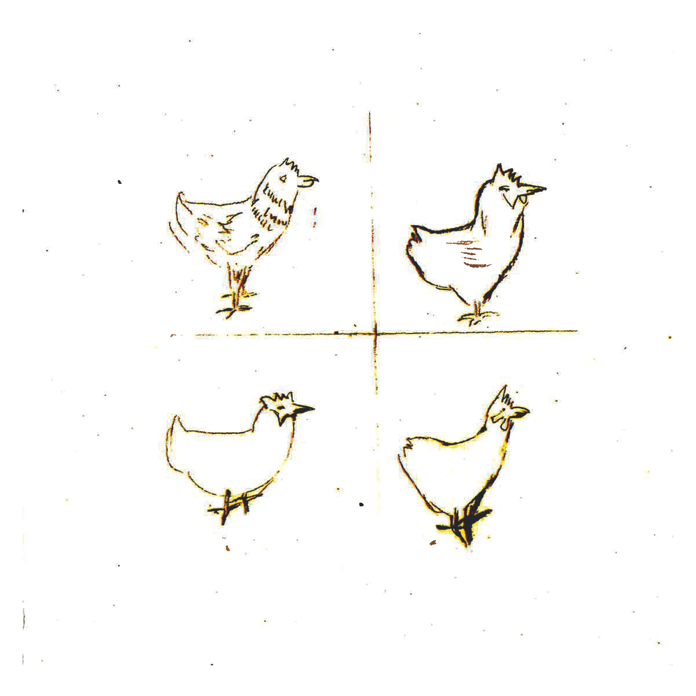 Counting Chickens_20164.jpg