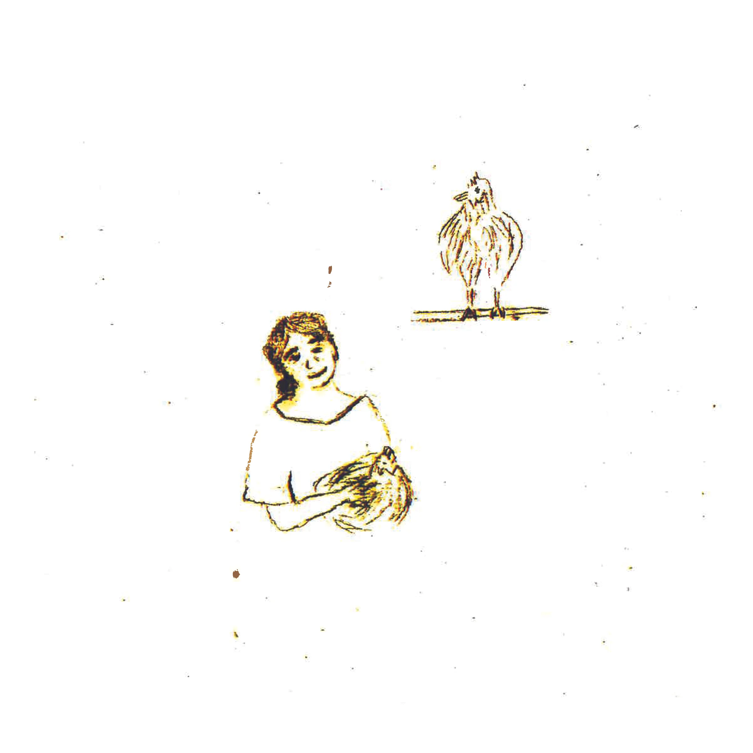 Counting Chickens_201610.jpg