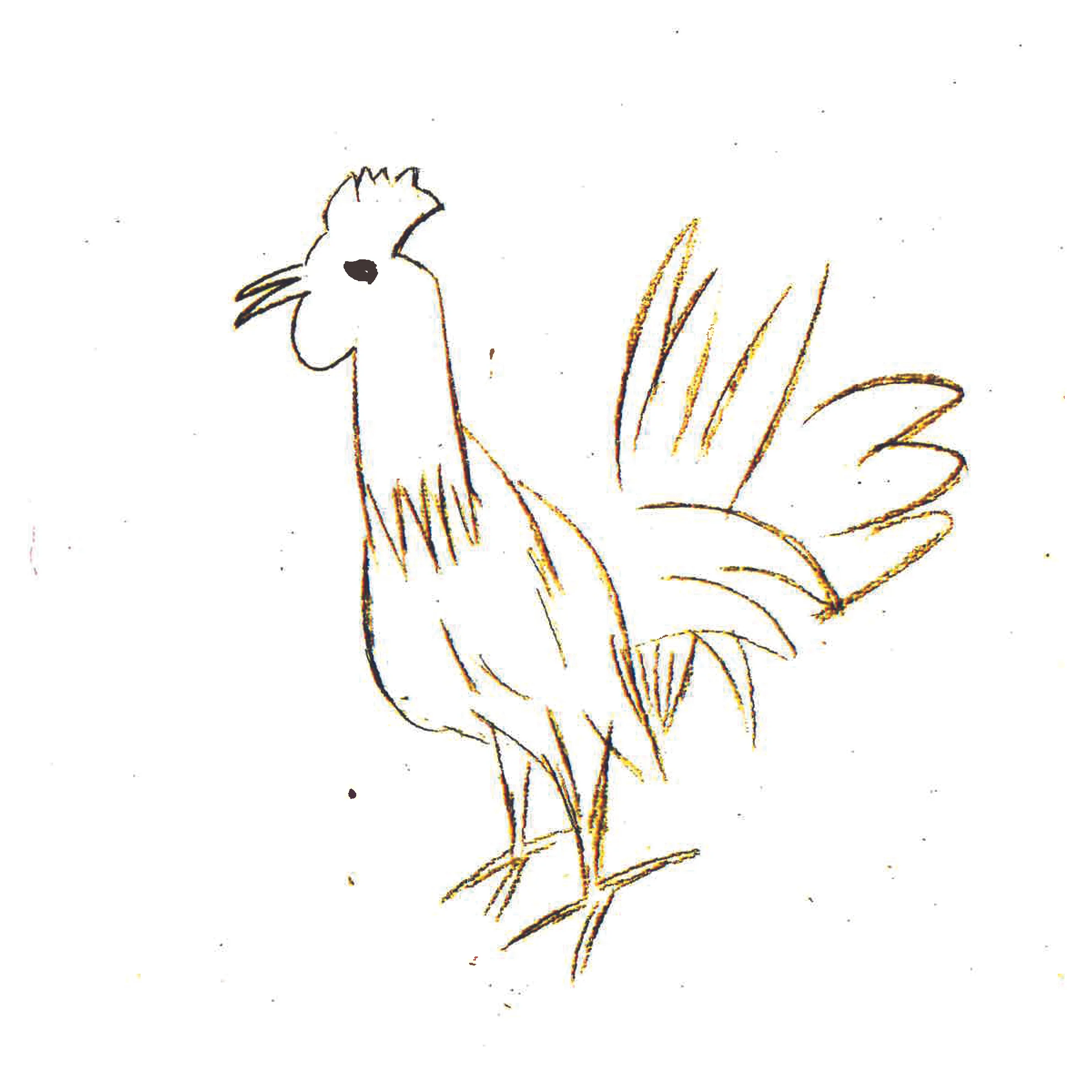Counting Chickens_201612.jpg