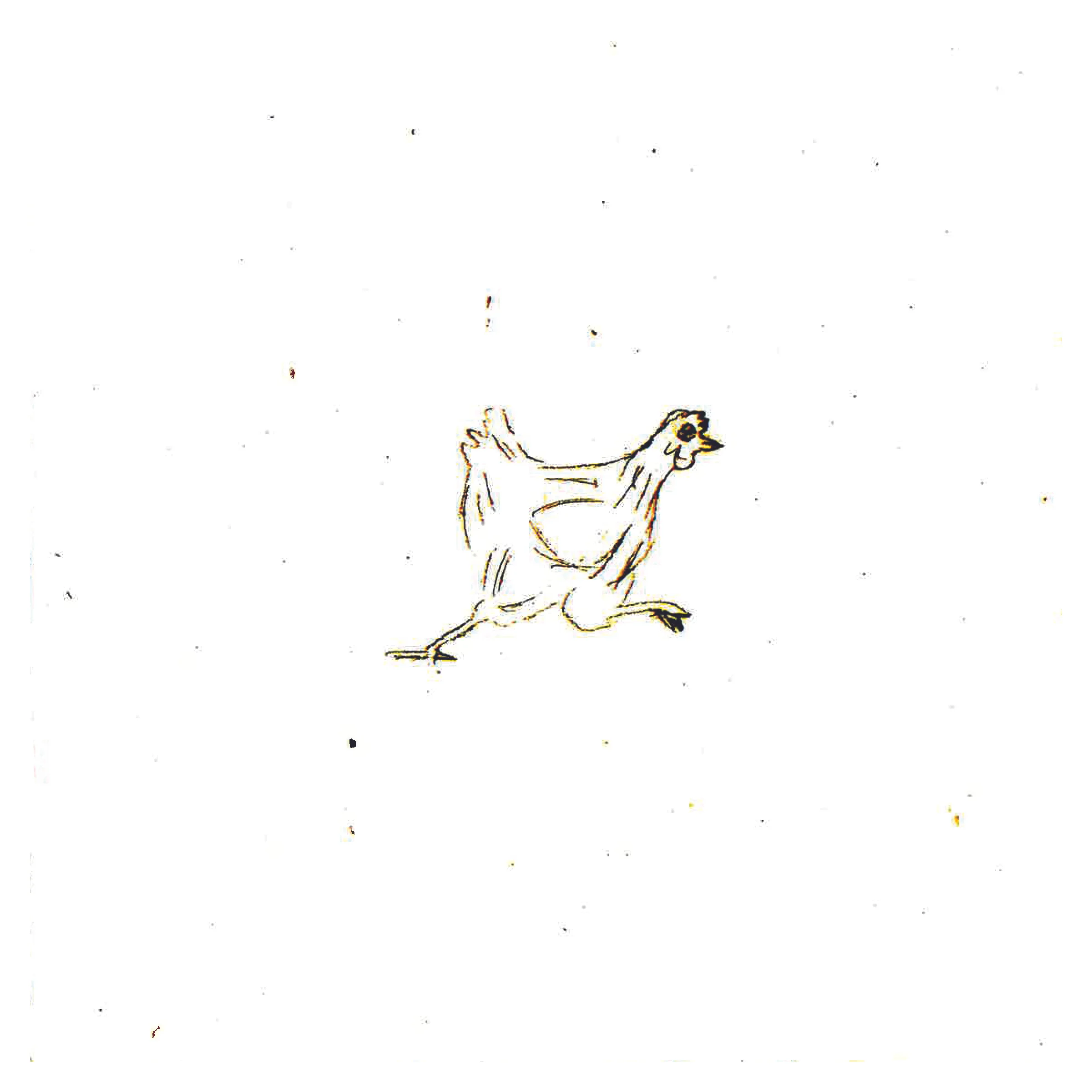 Counting Chickens_20166.jpg