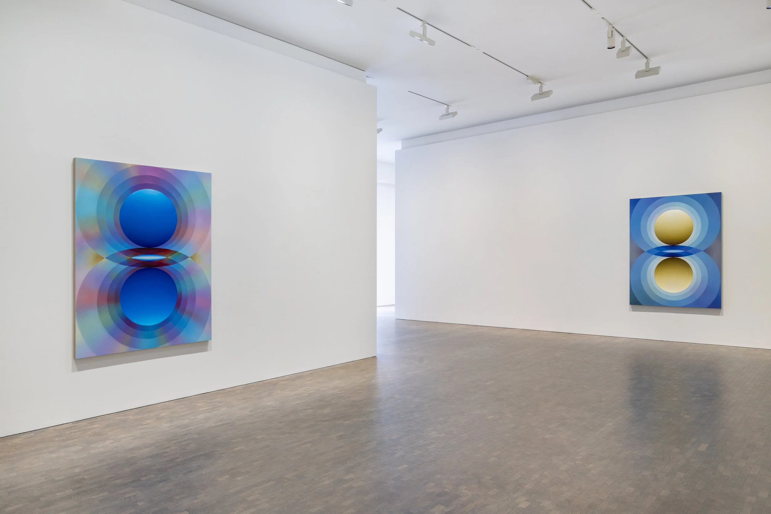   Installation View     Overview Effect   , Pace Gallery, London, UK  March 3 - May 23, 2026 